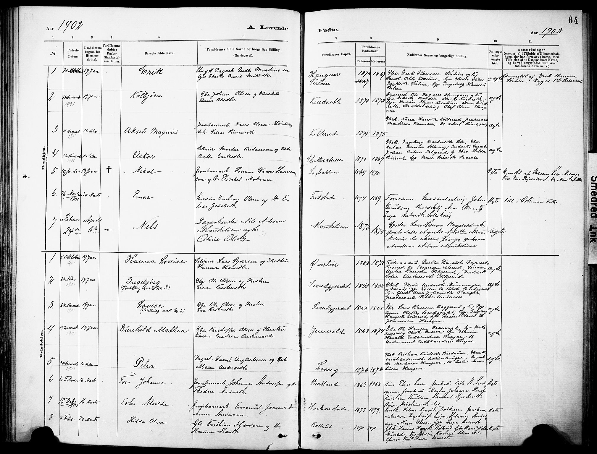 Nordre Land prestekontor, SAH/PREST-124/H/Ha/Haa/L0005: Parish register (official) no. 5, 1882-1903, p. 64