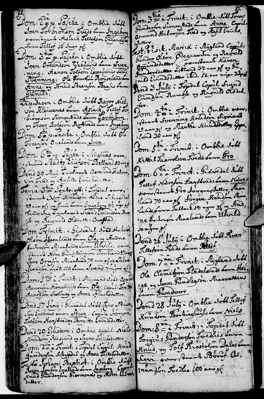 Åmli sokneprestkontor, AV/SAK-1111-0050/F/Fa/Fac/L0001: Parish register (official) no. A 1, 1711-1740, p. 84-85