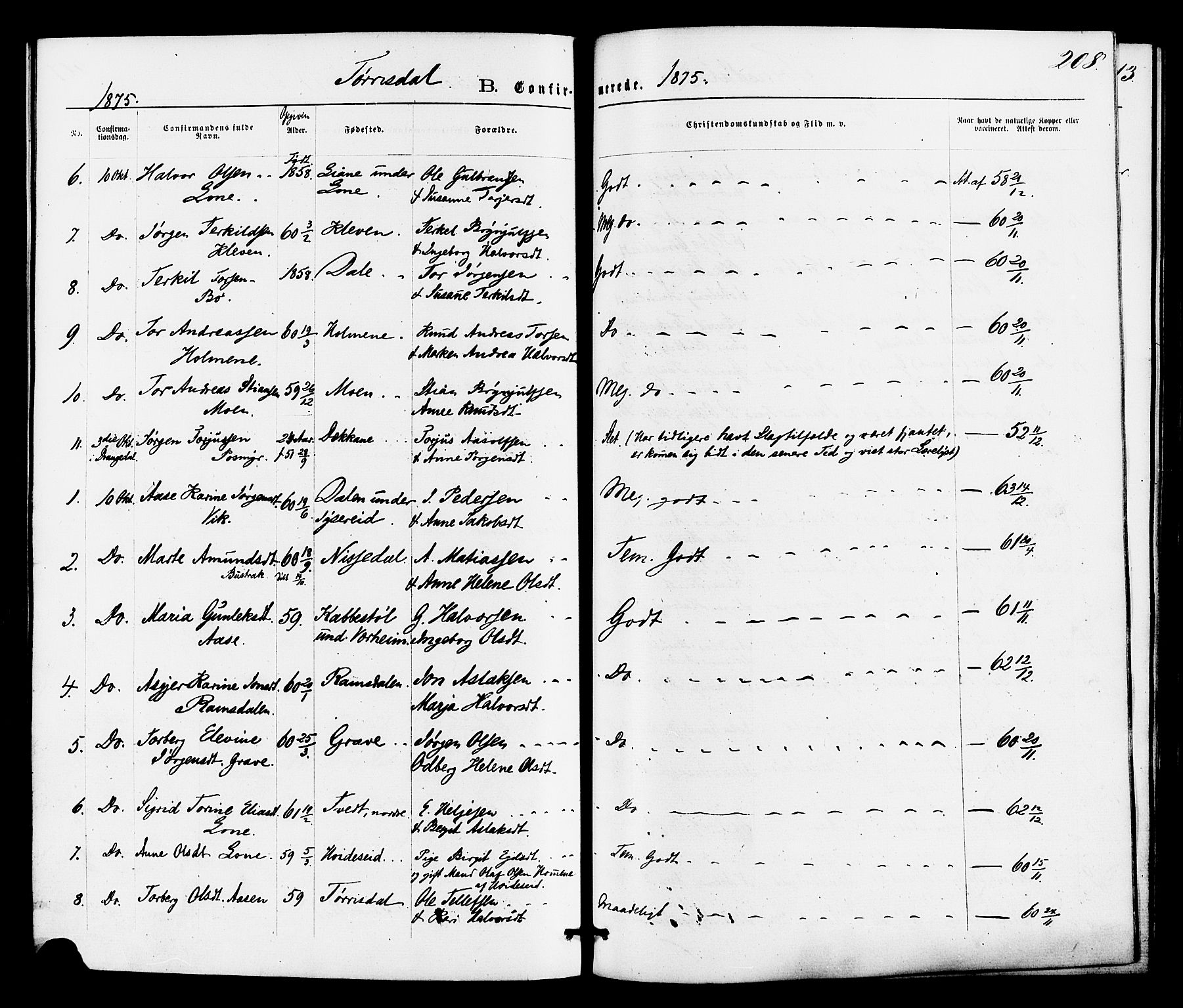 Drangedal kirkebøker, SAKO/A-258/F/Fa/L0009: Parish register (official) no. 9 /2, 1872-1884, p. 208