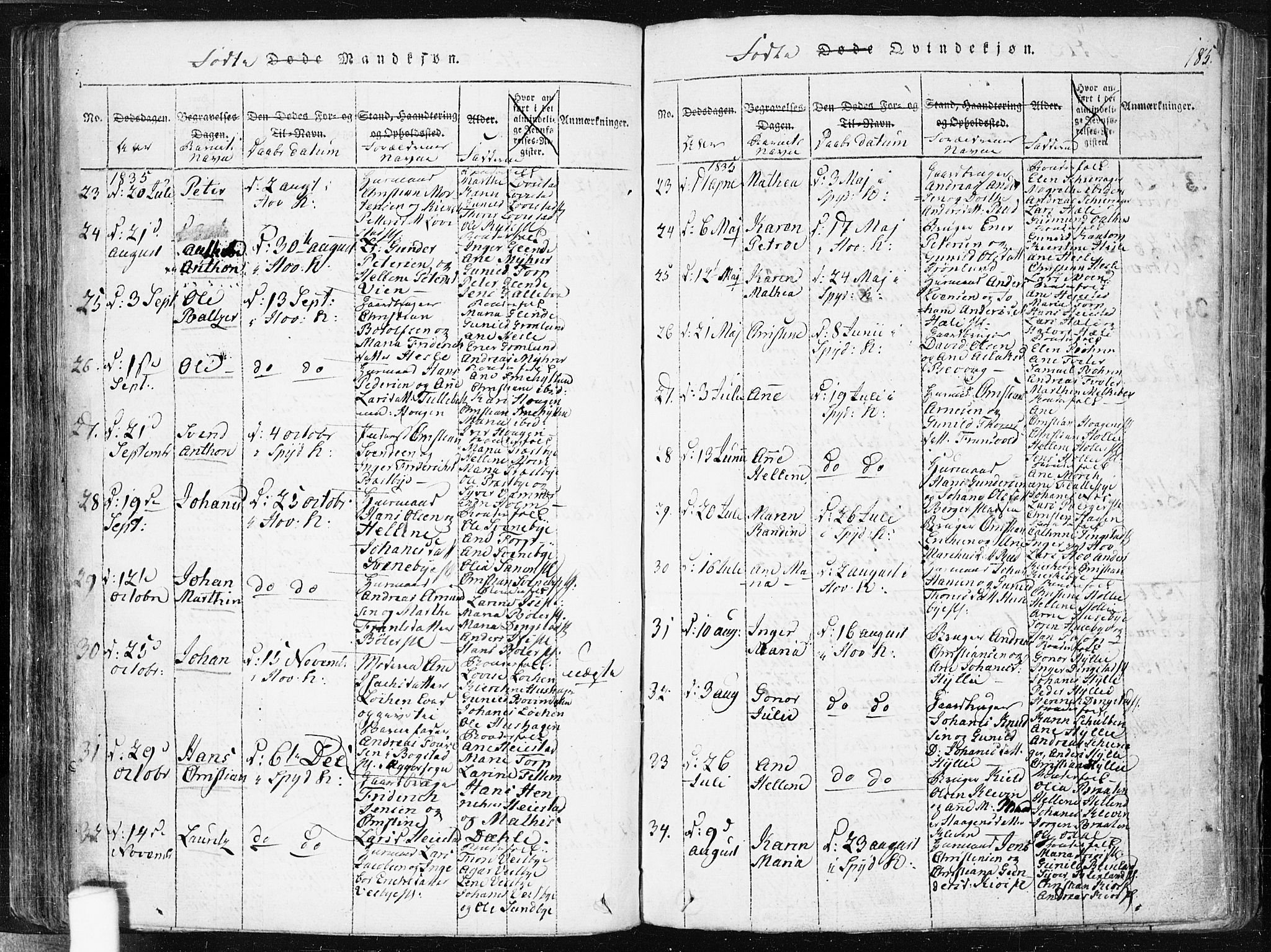 Spydeberg prestekontor Kirkebøker, SAO/A-10924/F/Fa/L0004: Parish register (official) no. I 4, 1814-1841, p. 185