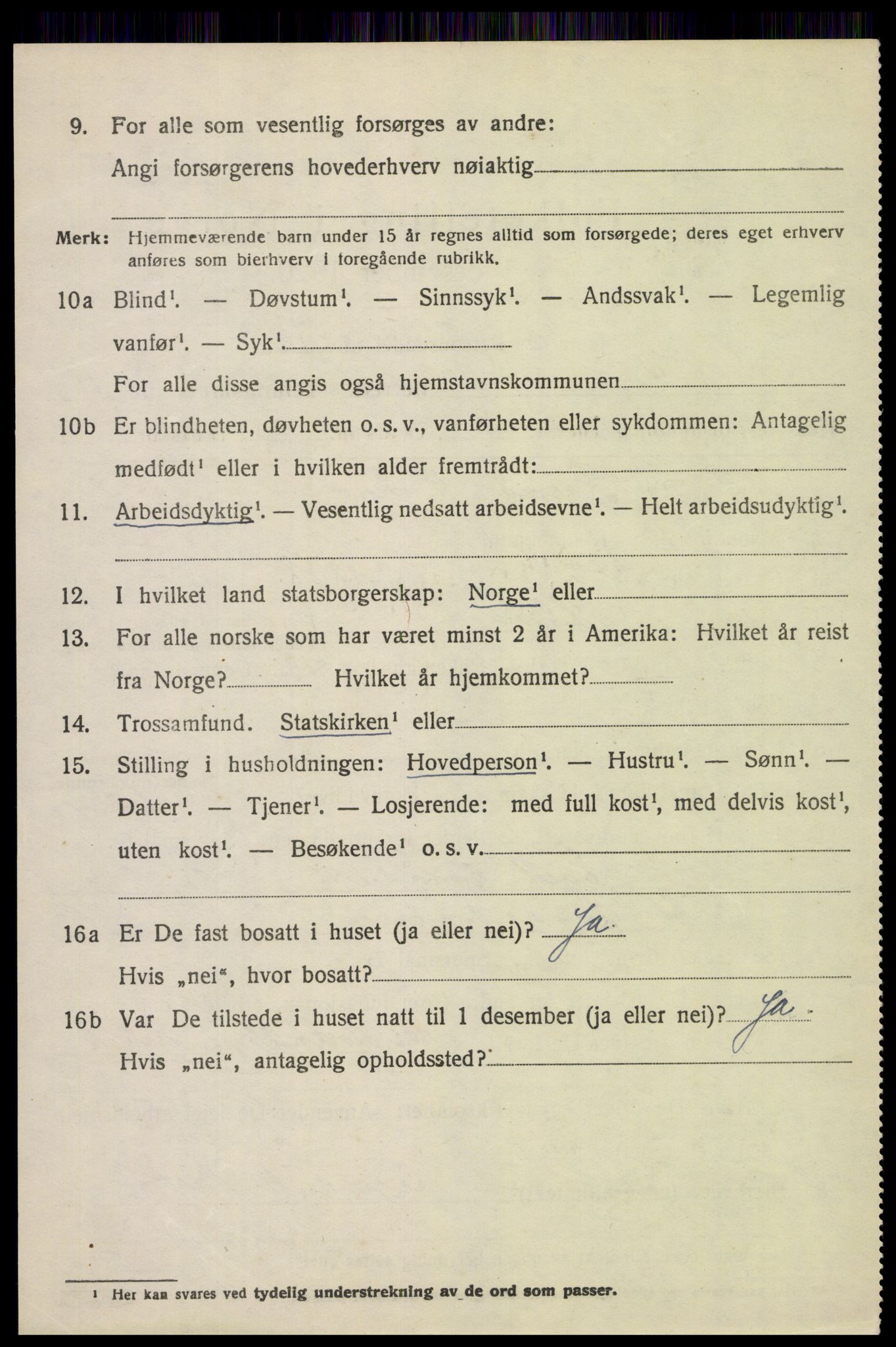 SAH, 1920 census for Skjåk, 1920, p. 4567