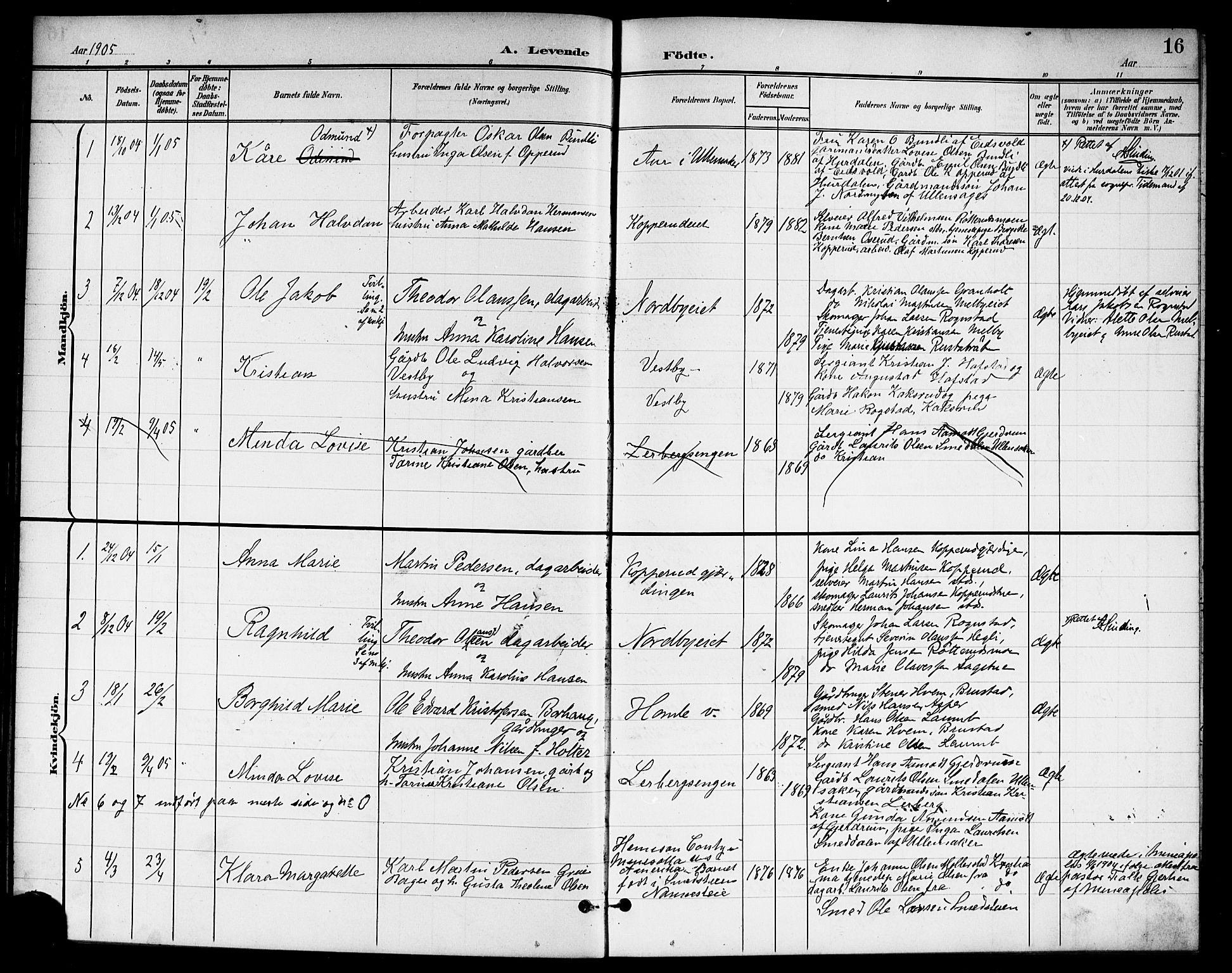 Nannestad prestekontor Kirkebøker, SAO/A-10414a/G/Ga/L0002: Parish register (copy) no. I 2, 1901-1913, p. 16