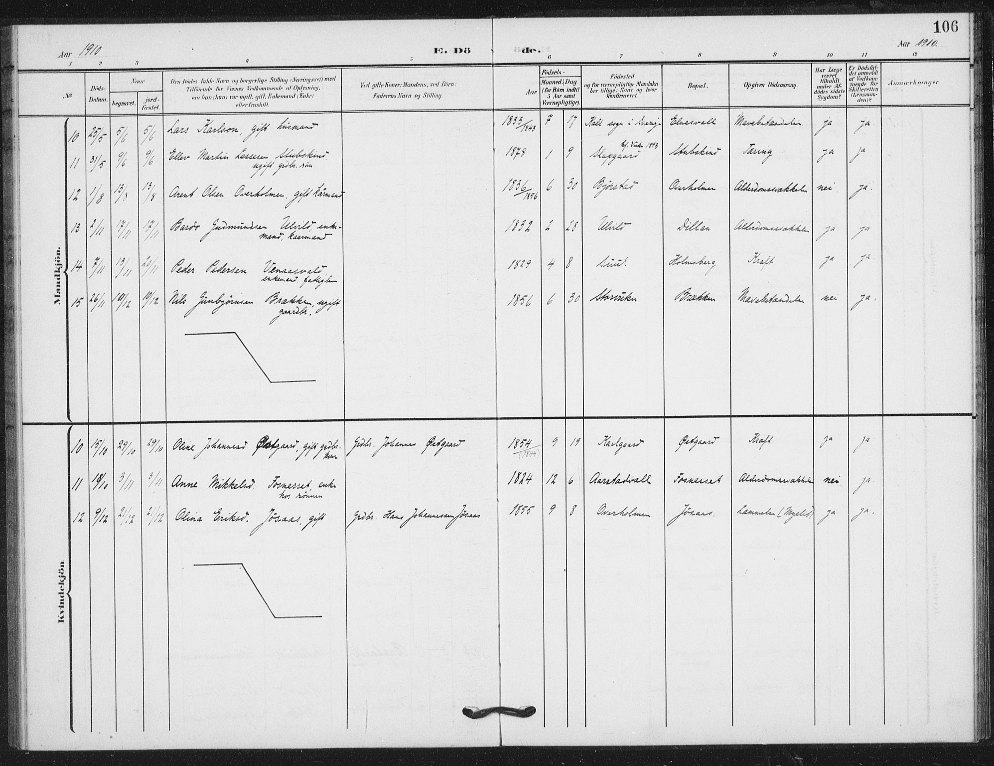 Ministerialprotokoller, klokkerbøker og fødselsregistre - Nord-Trøndelag, AV/SAT-A-1458/724/L0264: Parish register (official) no. 724A02, 1908-1915, p. 106