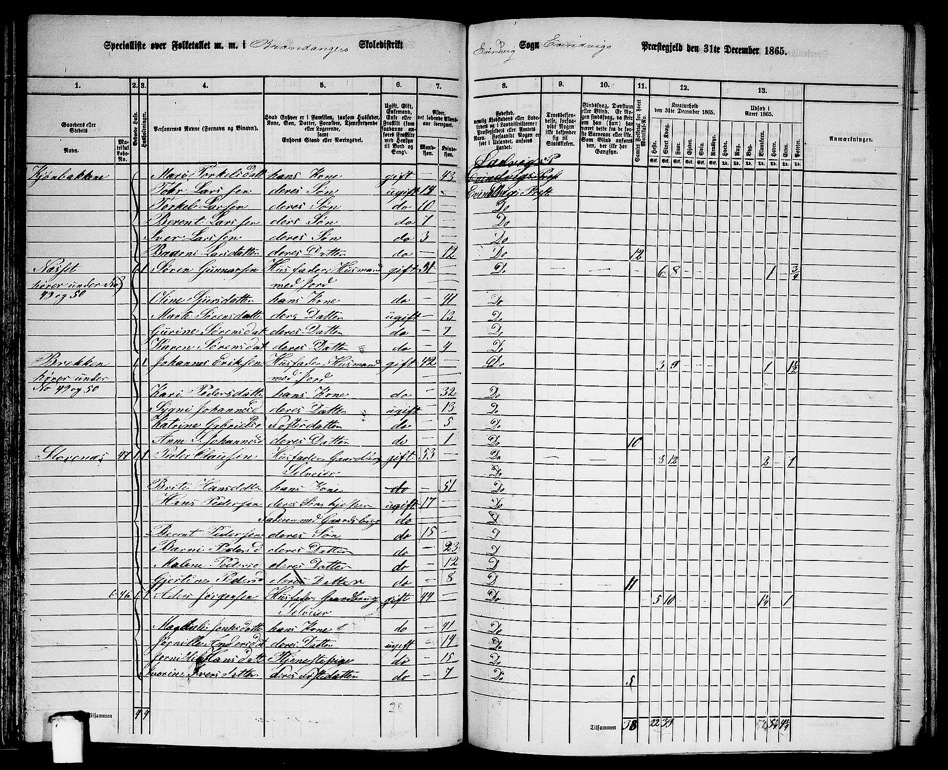 RA, 1865 census for Eivindvik, 1865, p. 81