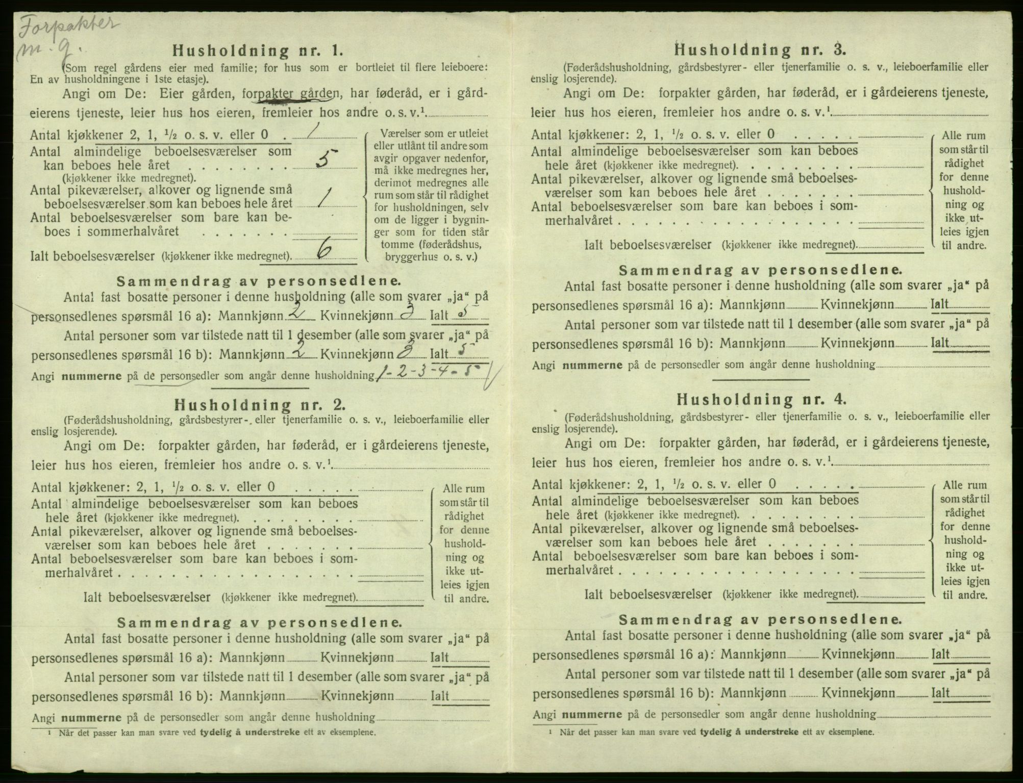 SAB, 1920 census for Eidfjord, 1920, p. 409