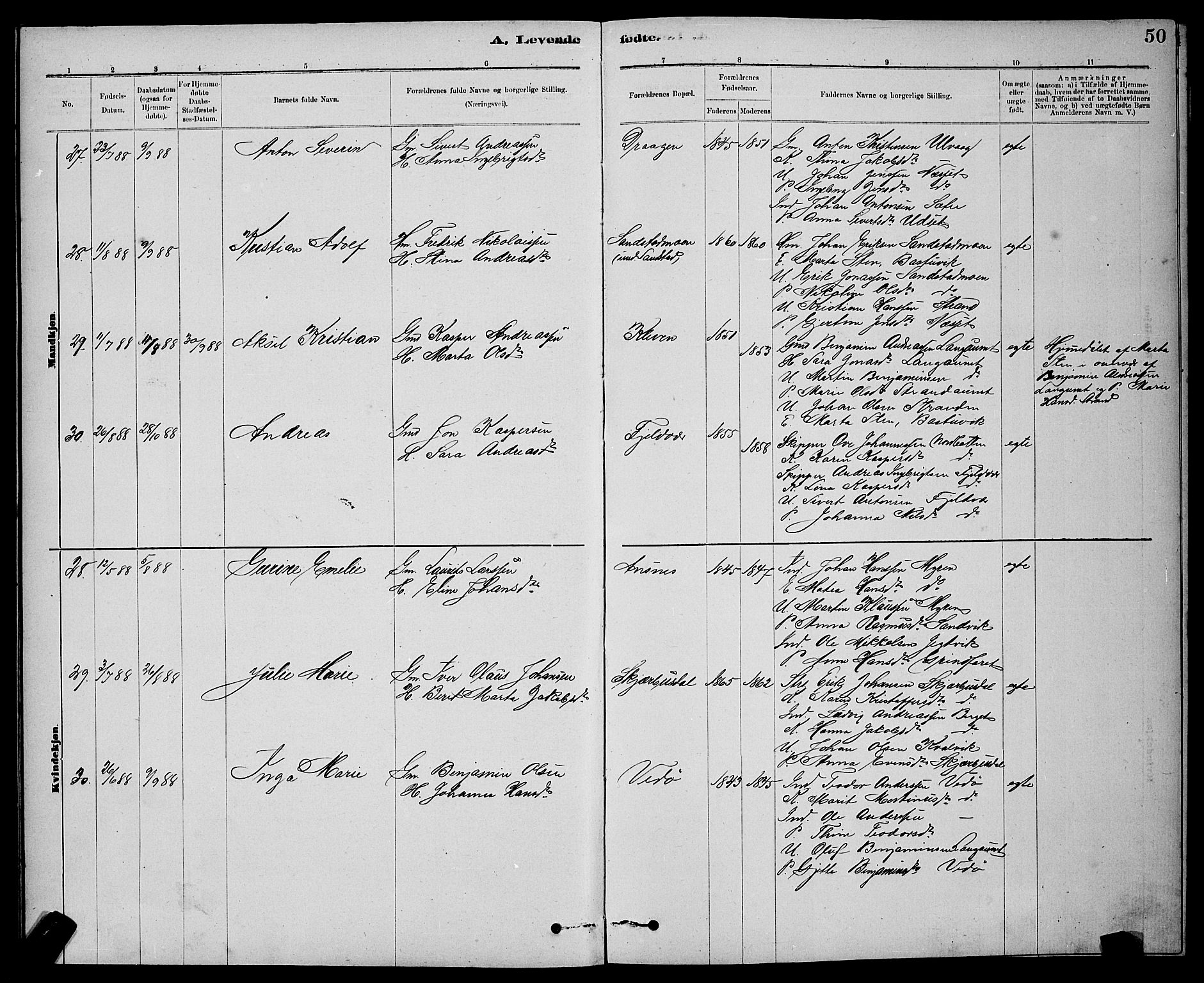 Ministerialprotokoller, klokkerbøker og fødselsregistre - Sør-Trøndelag, AV/SAT-A-1456/637/L0562: Parish register (copy) no. 637C03, 1883-1898, p. 50