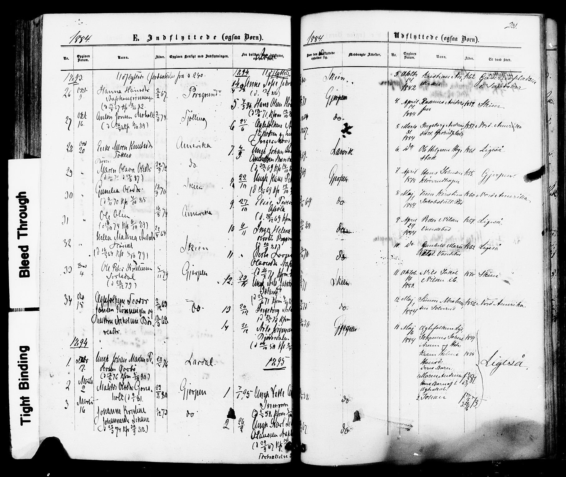 Siljan kirkebøker, AV/SAKO-A-300/F/Fa/L0002: Parish register (official) no. 2, 1870-1895, p. 231