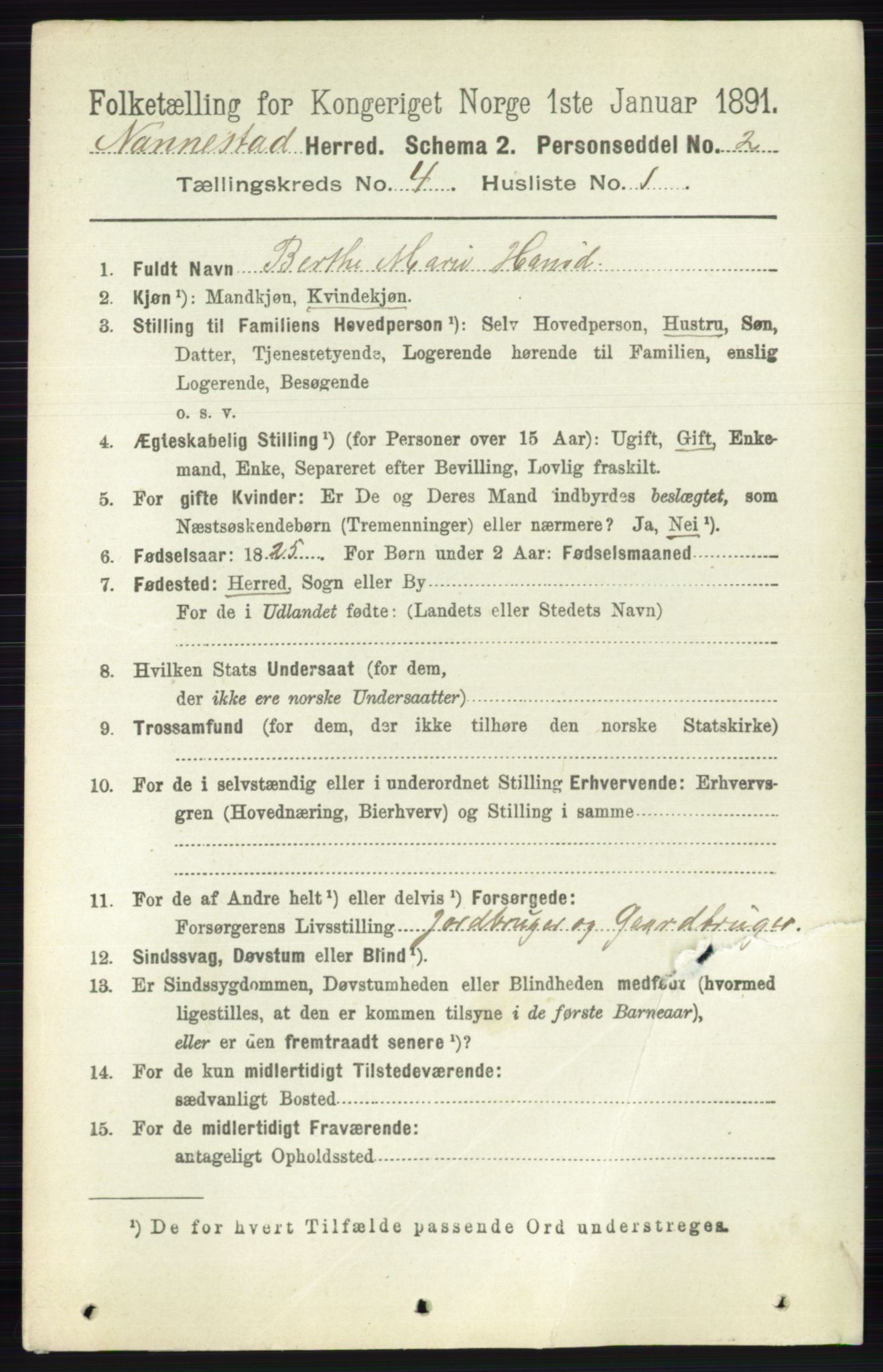 RA, 1891 census for 0238 Nannestad, 1891, p. 2059