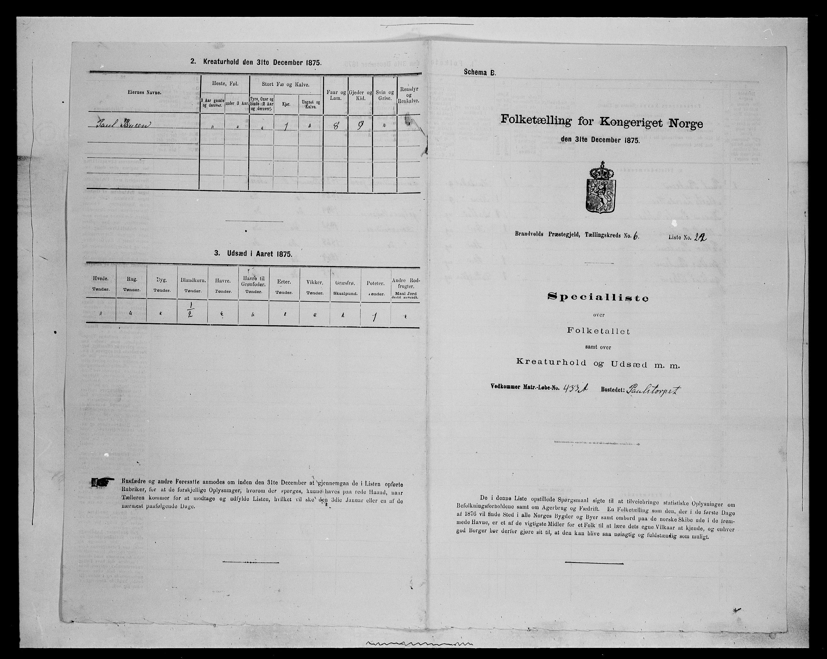 SAH, 1875 census for 0422P Brandval, 1875, p. 1054