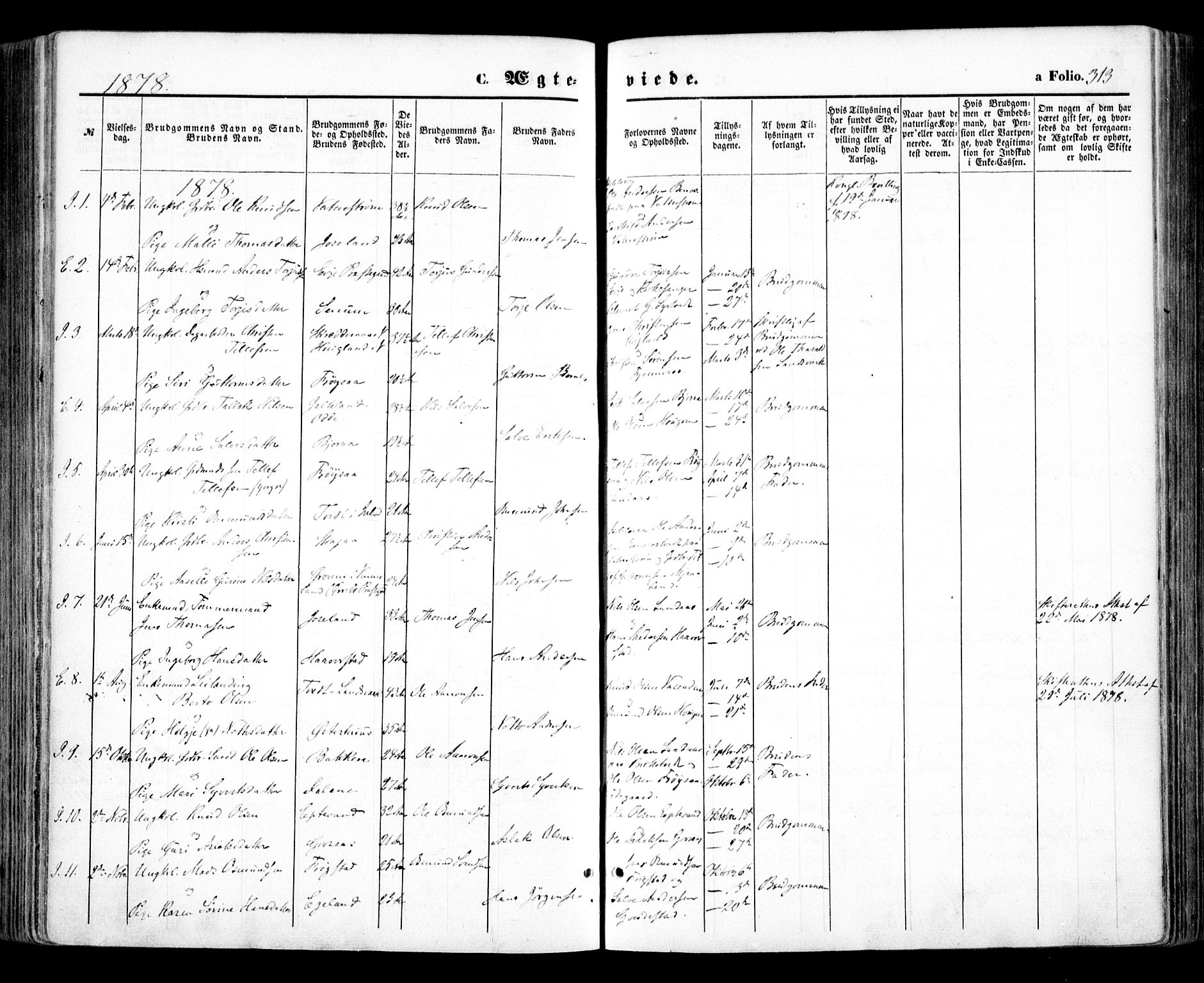 Evje sokneprestkontor, SAK/1111-0008/F/Fa/Faa/L0006: Parish register (official) no. A 6, 1866-1884, p. 313
