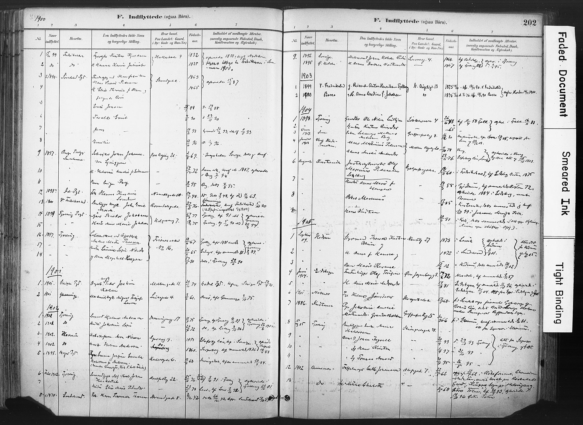 Larvik kirkebøker, SAKO/A-352/F/Fa/L0010: Parish register (official) no. I 10, 1884-1910, p. 202