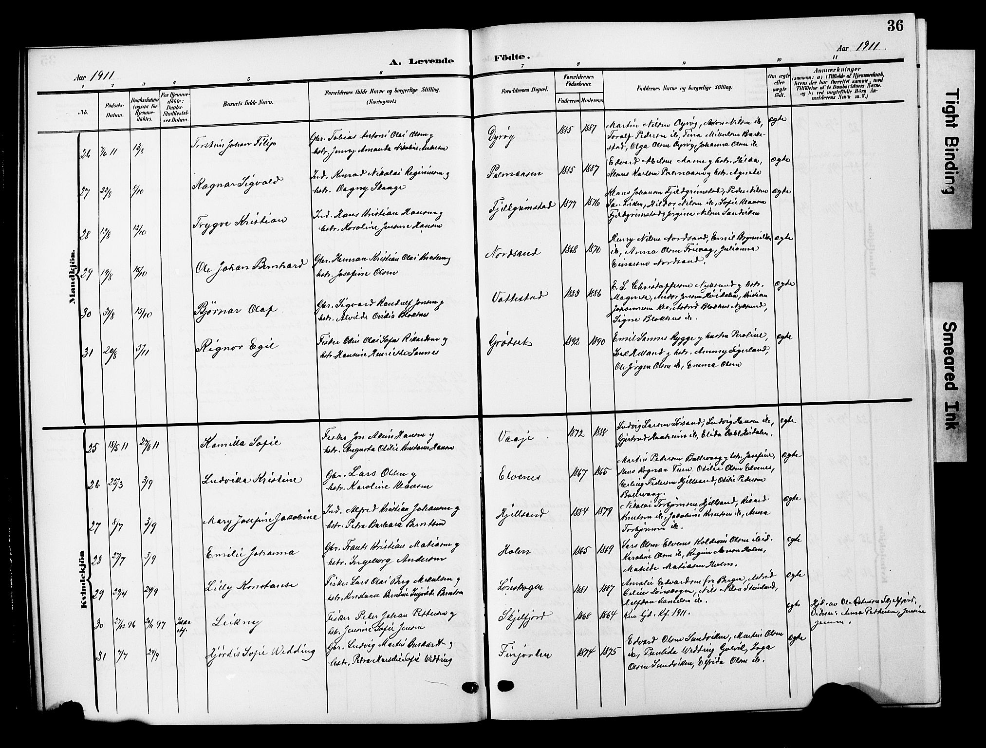 Ministerialprotokoller, klokkerbøker og fødselsregistre - Nordland, AV/SAT-A-1459/893/L1350: Parish register (copy) no. 893C05, 1906-1927, p. 36