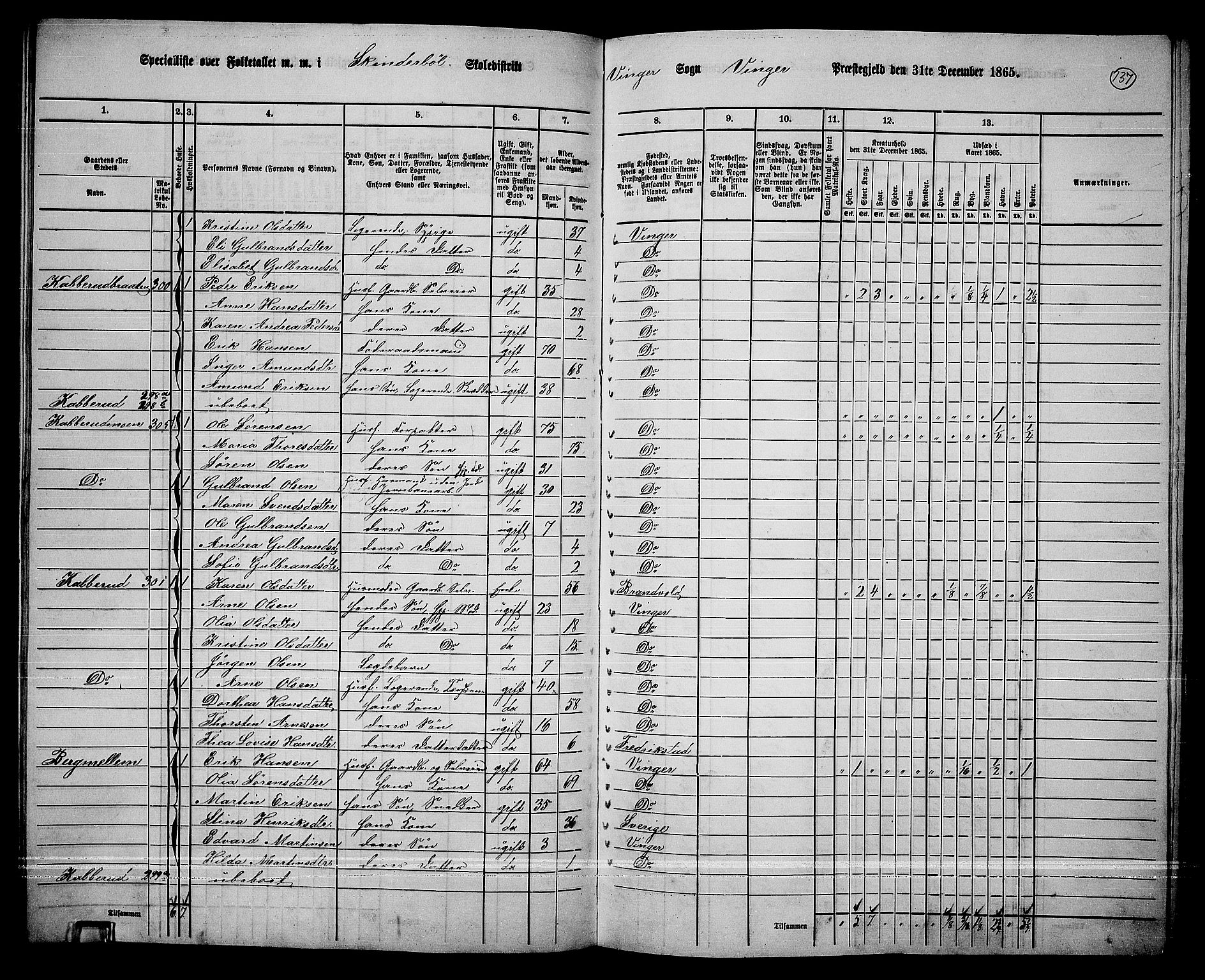 RA, 1865 census for Vinger/Vinger og Austmarka, 1865, p. 125