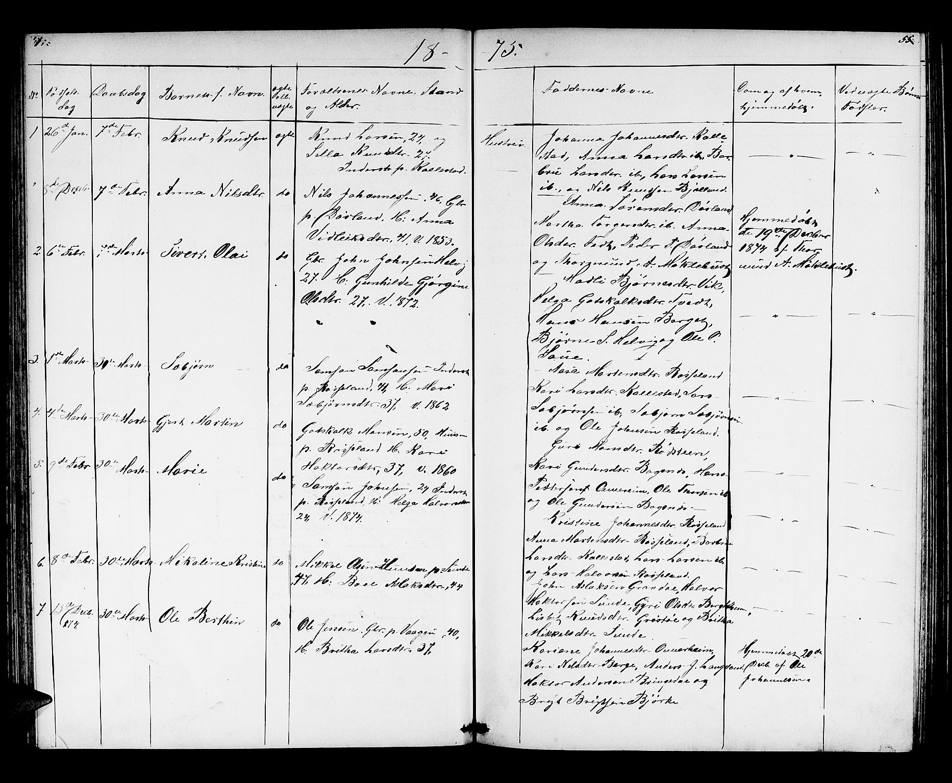 Husnes Sokneprestembete, AV/SAB-A-75901/H/Hab: Parish register (copy) no. A 1, 1856-1880, p. 55