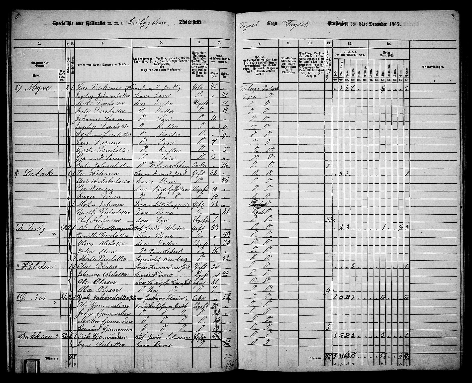 RA, 1865 census for Trysil, 1865, p. 25