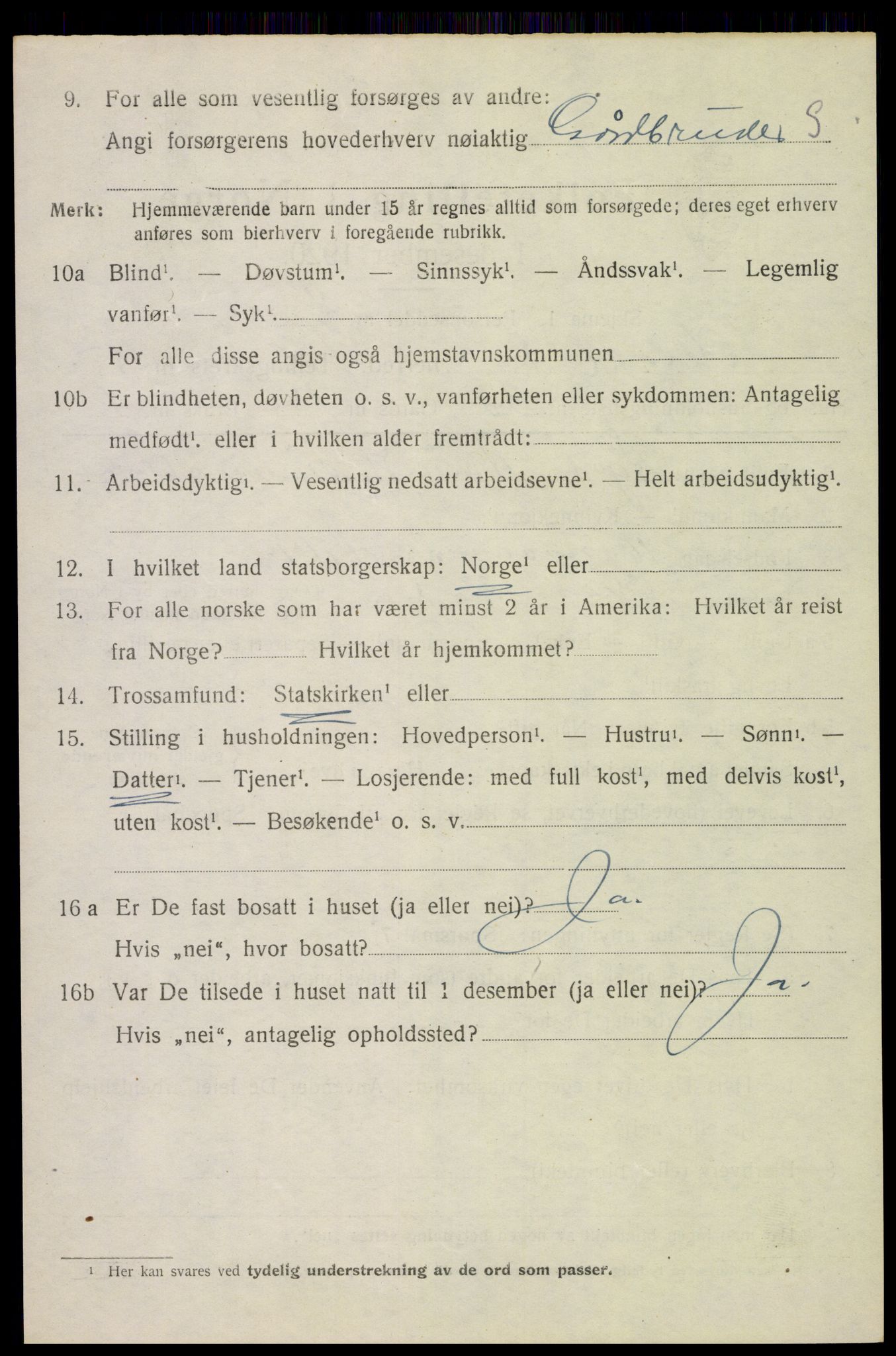 SAH, 1920 census for Nes (Hedmark), 1920, p. 7349