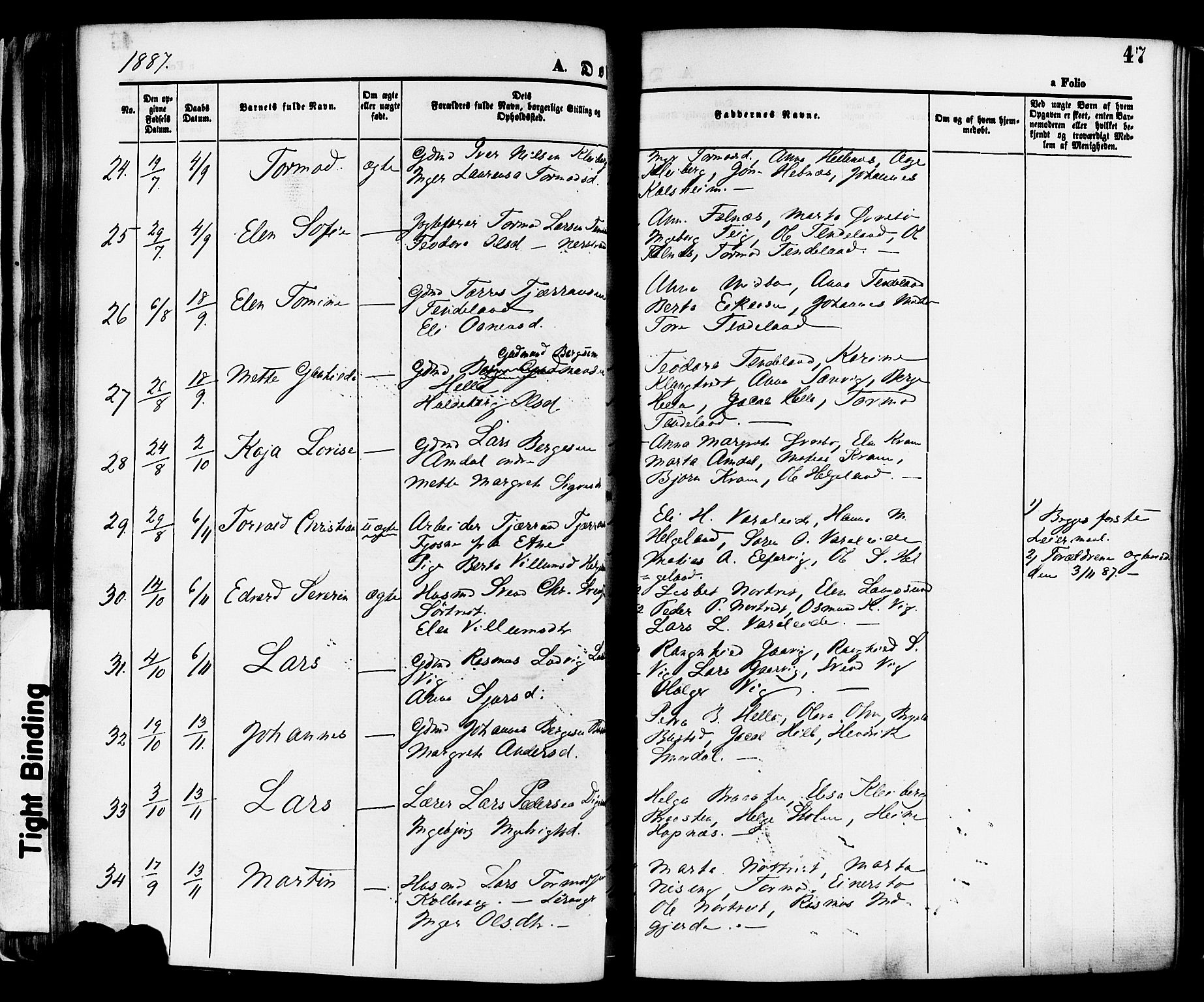 Nedstrand sokneprestkontor, AV/SAST-A-101841/01/IV: Parish register (official) no. A 11, 1877-1887, p. 47