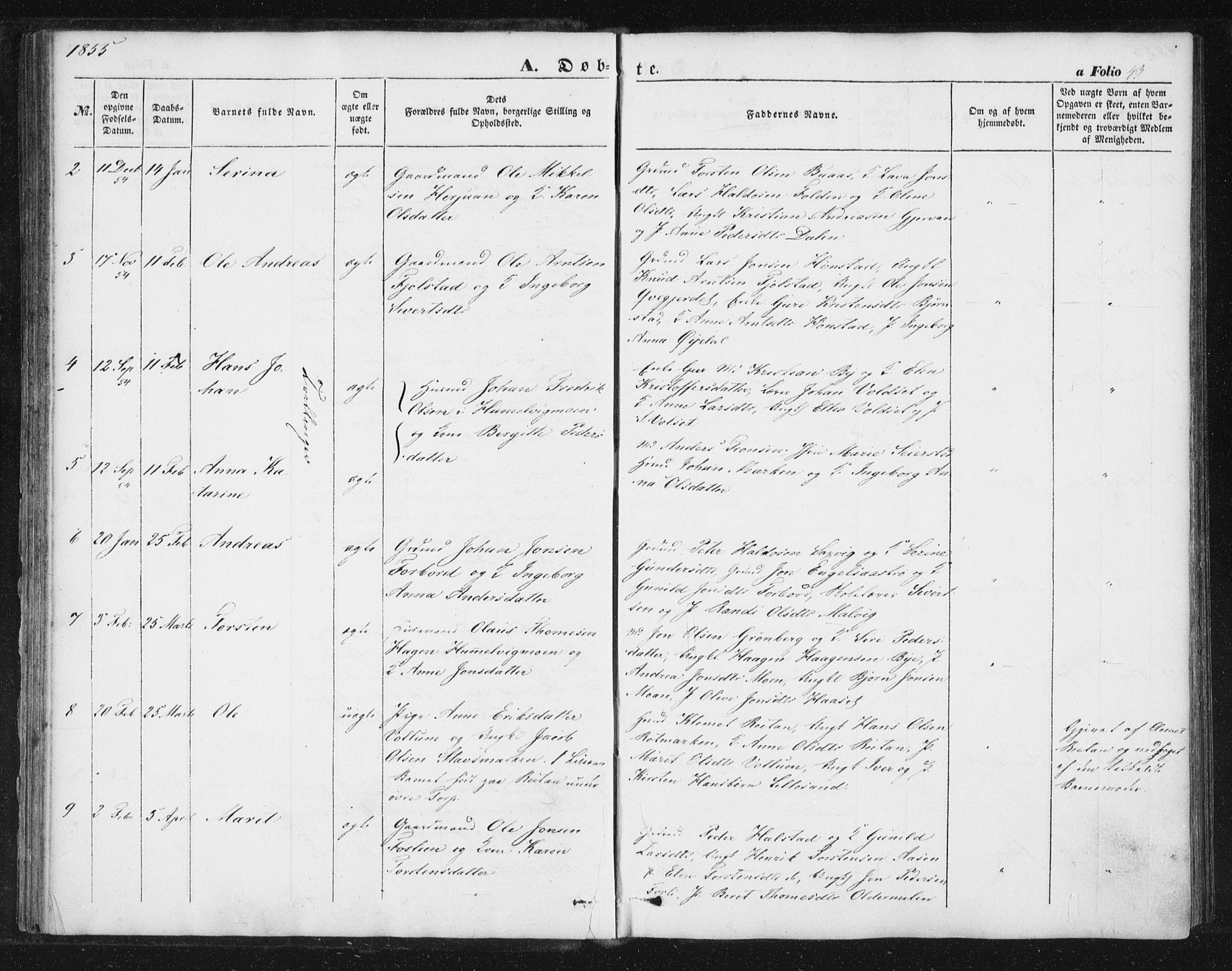 Ministerialprotokoller, klokkerbøker og fødselsregistre - Sør-Trøndelag, SAT/A-1456/616/L0407: Parish register (official) no. 616A04, 1848-1856, p. 43