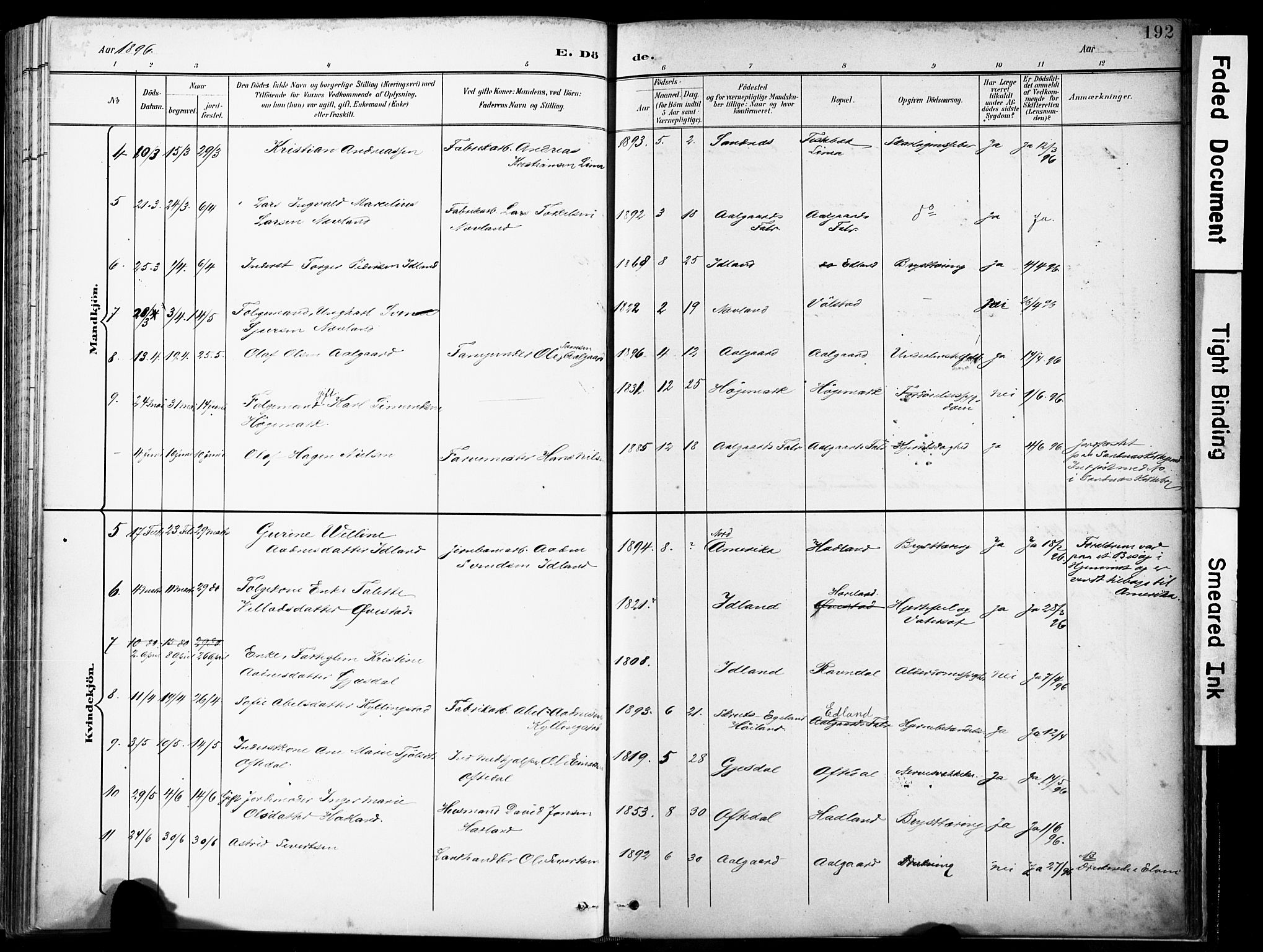 Lye sokneprestkontor, SAST/A-101794/001/30BA/L0012: Parish register (official) no. A 11, 1896-1909, p. 193
