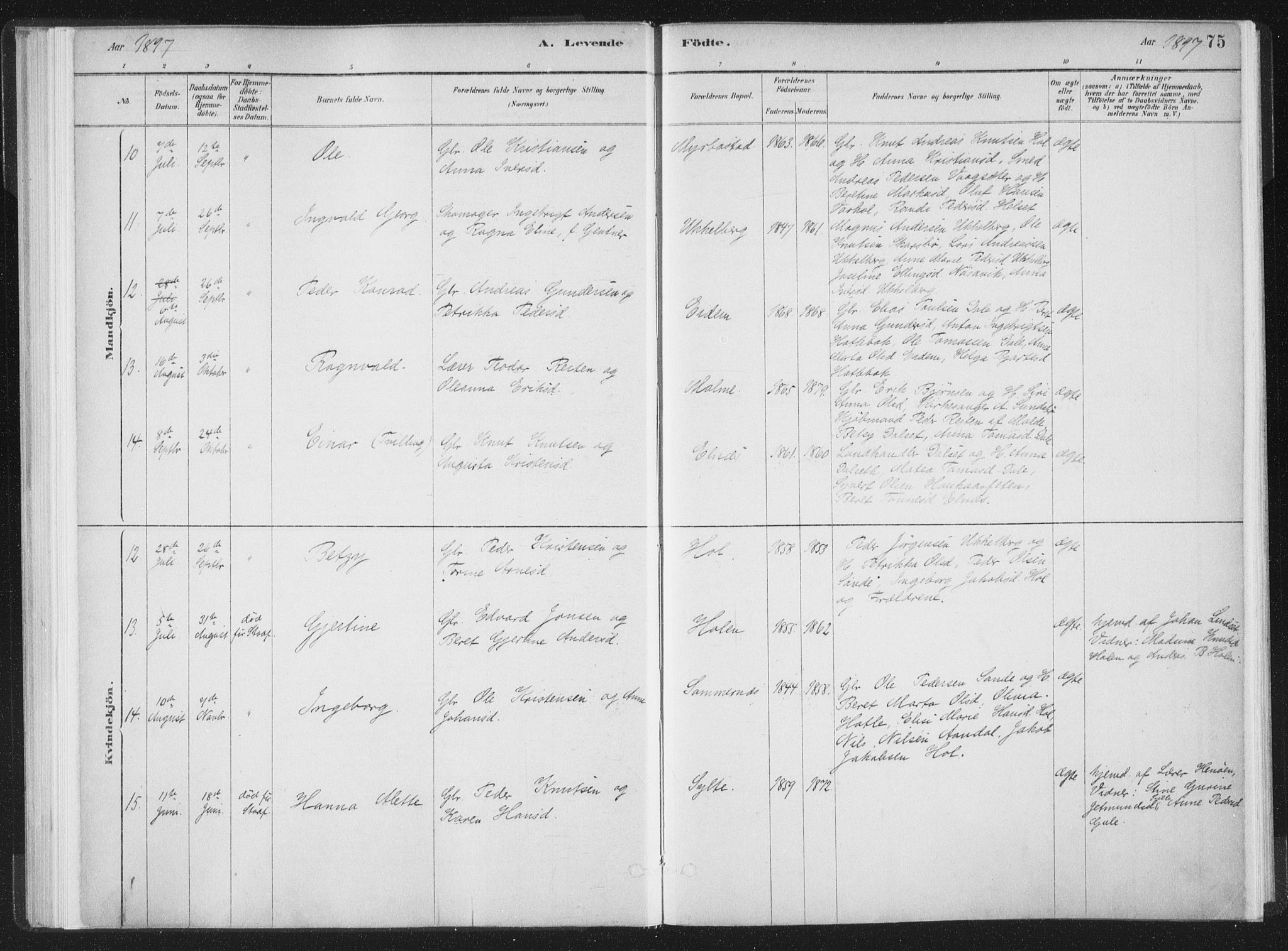 Ministerialprotokoller, klokkerbøker og fødselsregistre - Møre og Romsdal, SAT/A-1454/564/L0740: Parish register (official) no. 564A01, 1880-1899, p. 75