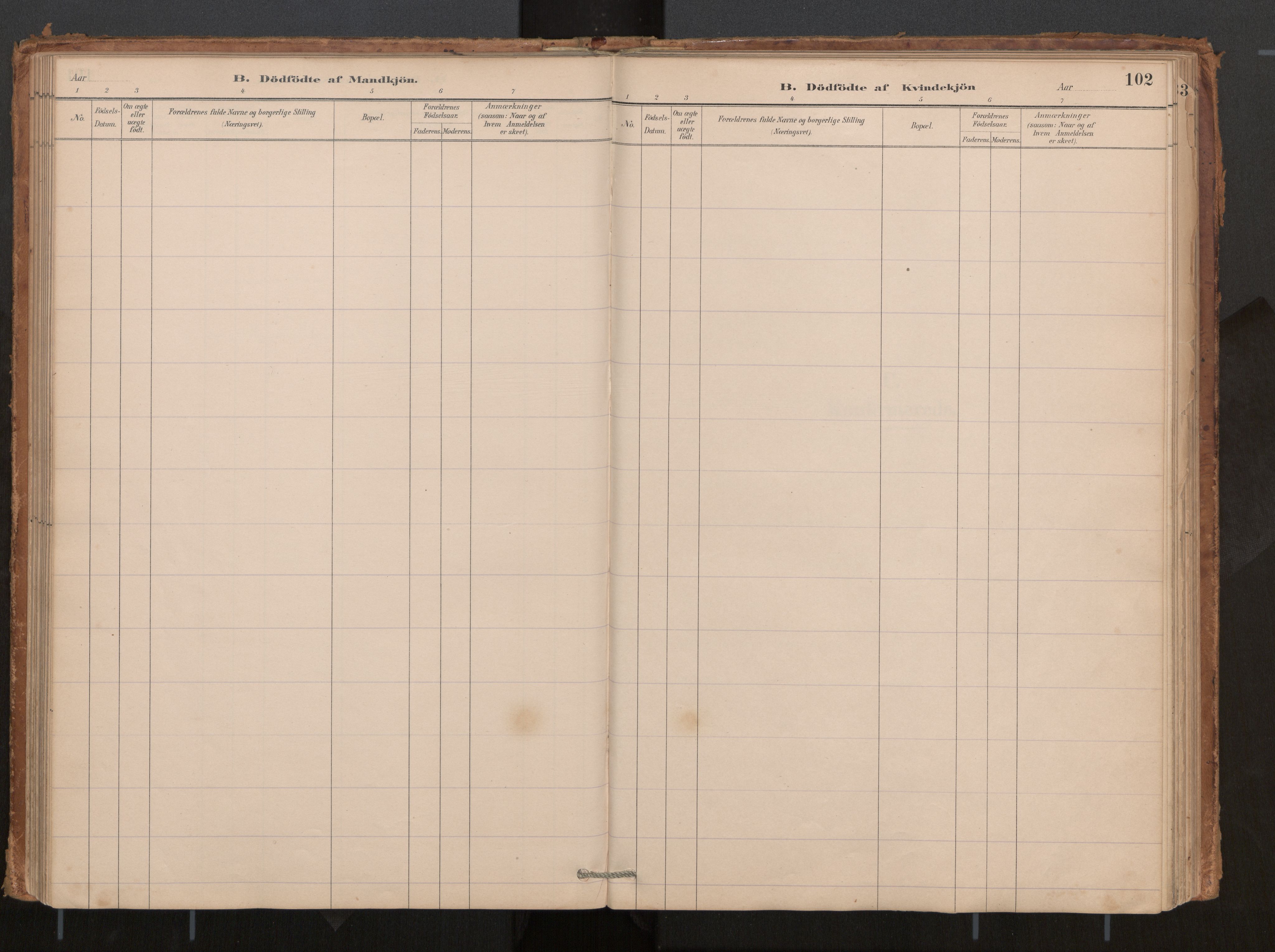 Ministerialprotokoller, klokkerbøker og fødselsregistre - Møre og Romsdal, AV/SAT-A-1454/540/L0540a: Parish register (official) no. 540A02, 1884-1908, p. 102