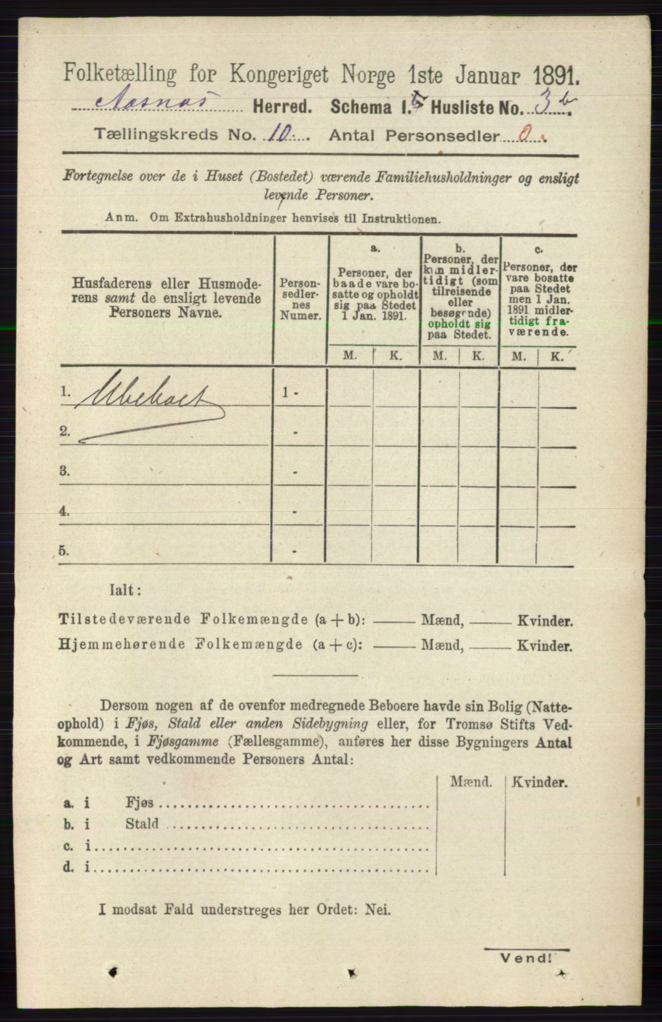 RA, 1891 census for 0425 Åsnes, 1891, p. 4991