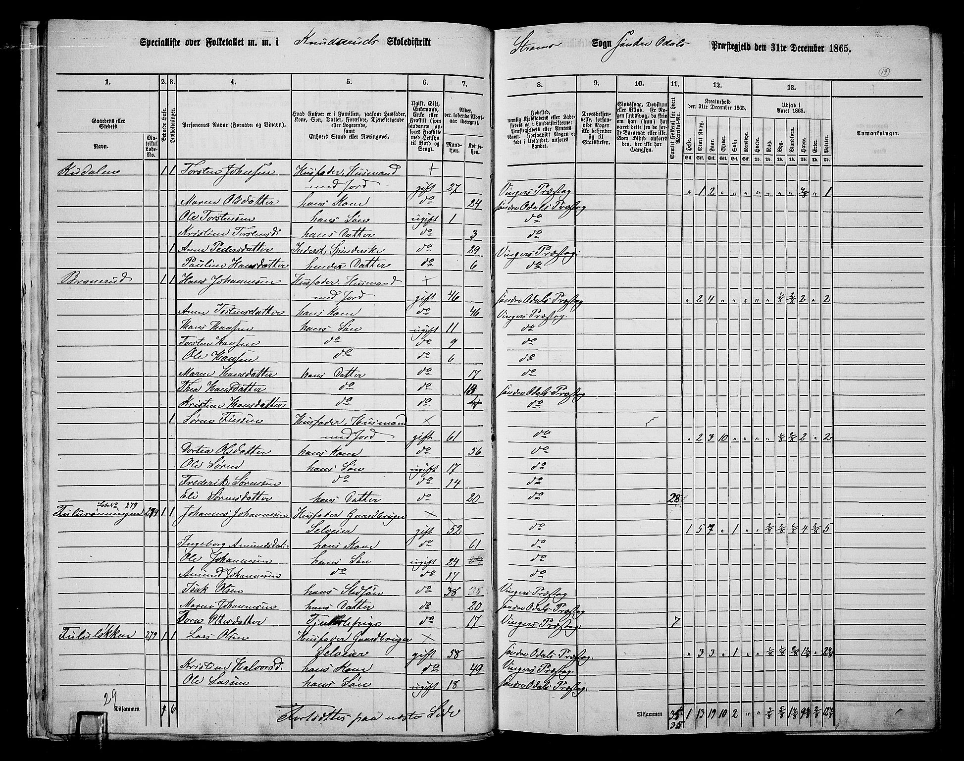 RA, 1865 census for Sør-Odal, 1865, p. 17