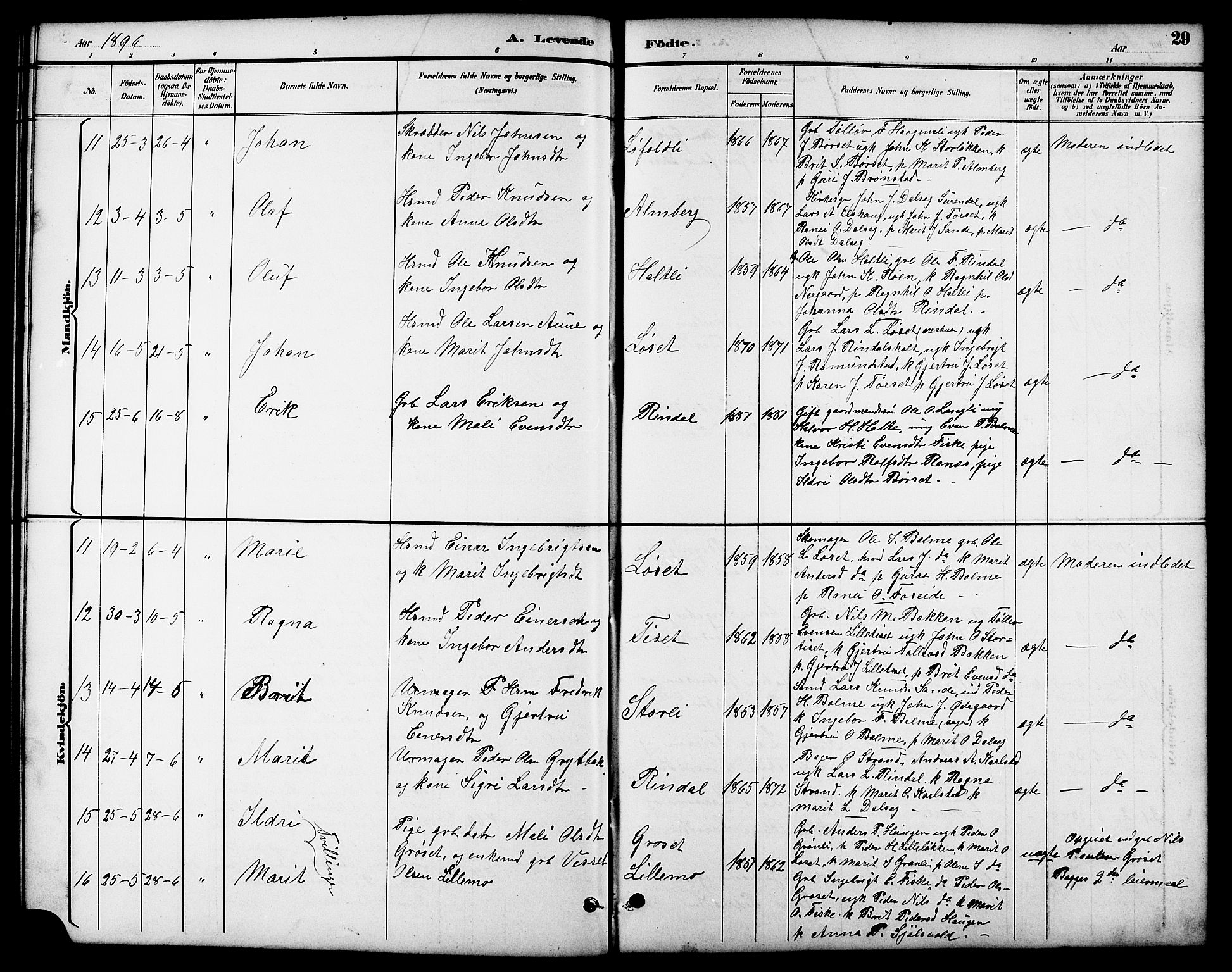 Ministerialprotokoller, klokkerbøker og fødselsregistre - Møre og Romsdal, AV/SAT-A-1454/598/L1078: Parish register (copy) no. 598C03, 1892-1909, p. 29