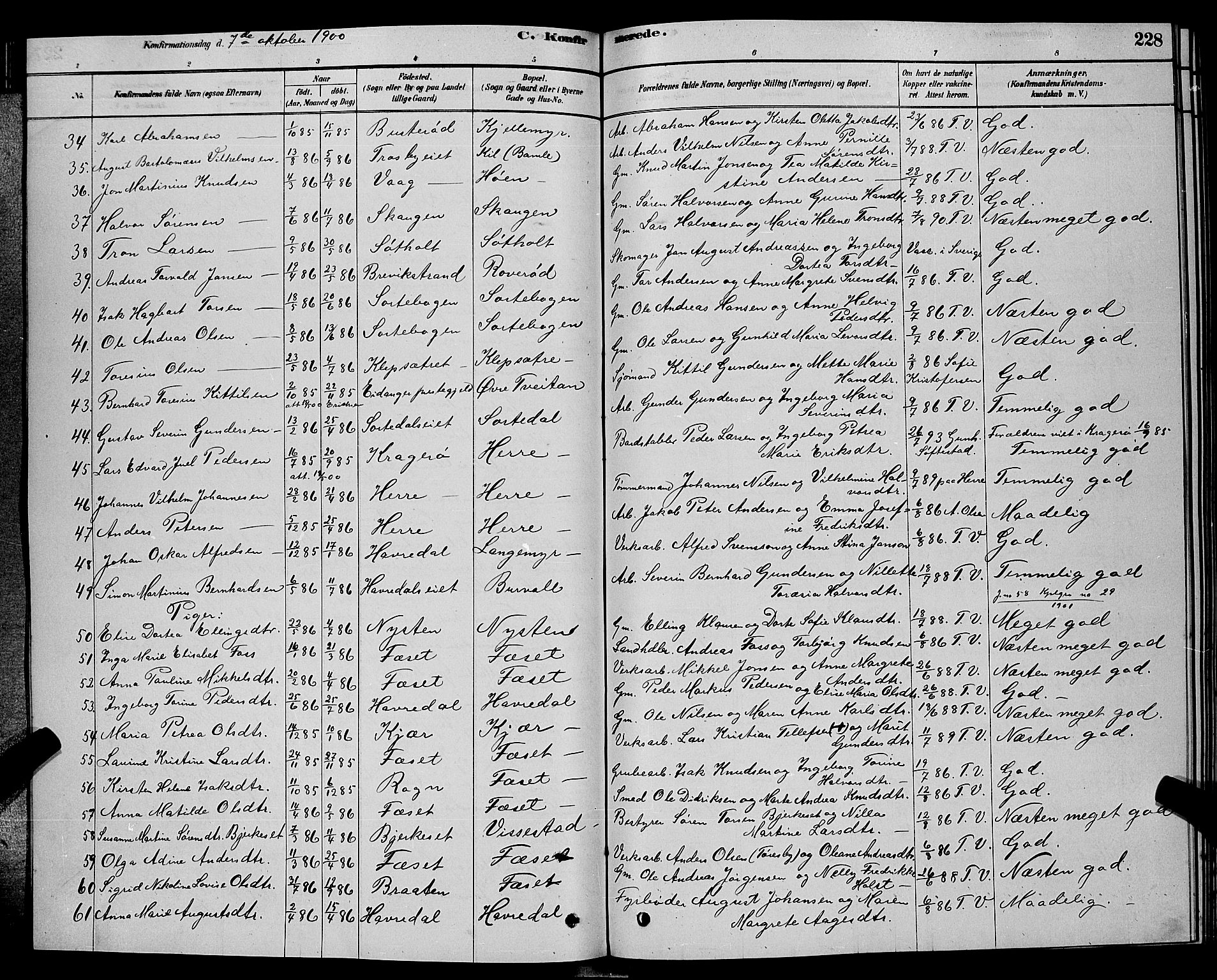 Bamble kirkebøker, AV/SAKO-A-253/G/Ga/L0008: Parish register (copy) no. I 8, 1878-1888, p. 228