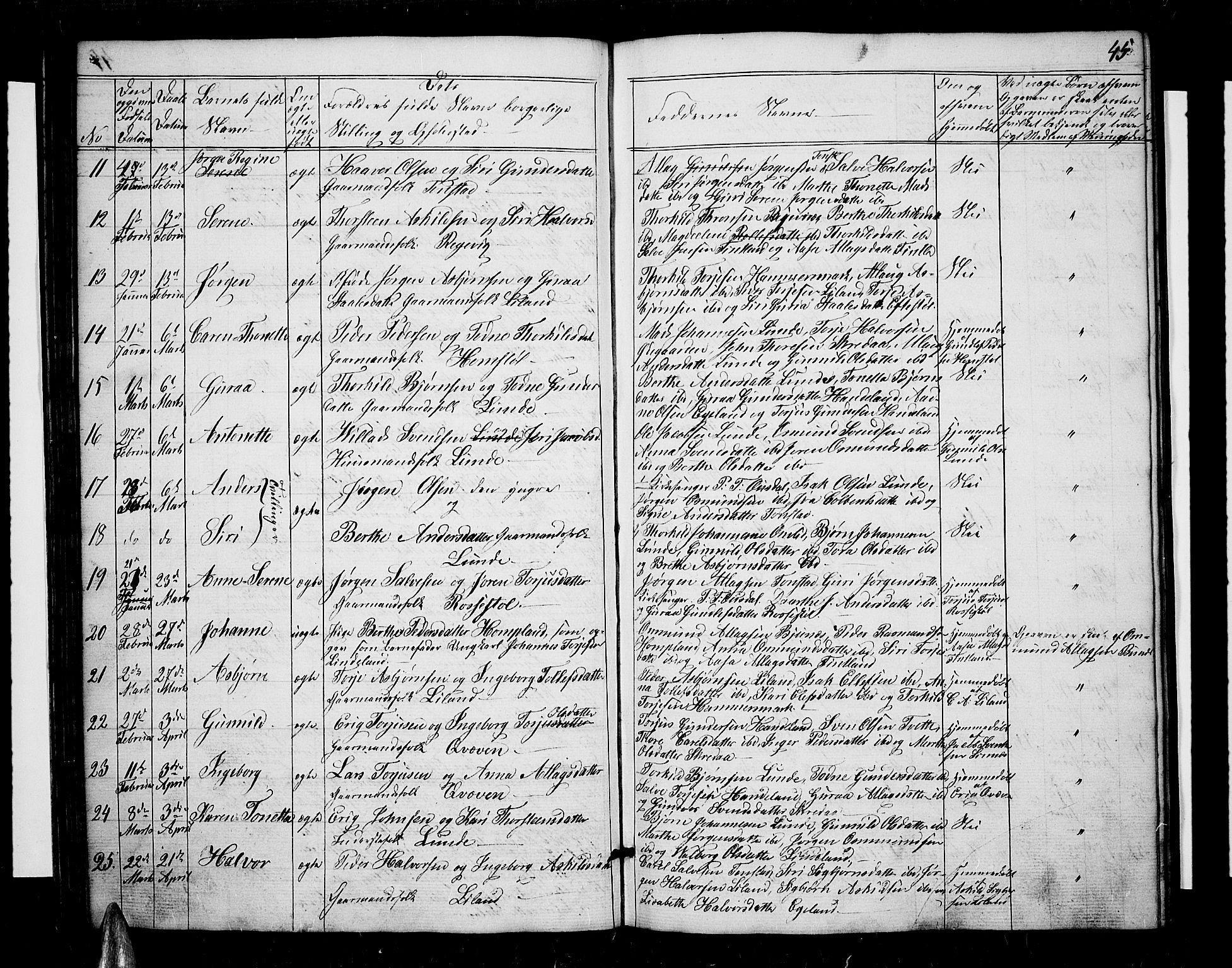 Sirdal sokneprestkontor, SAK/1111-0036/F/Fb/Fbb/L0002: Parish register (copy) no. B 2, 1848-1878, p. 45