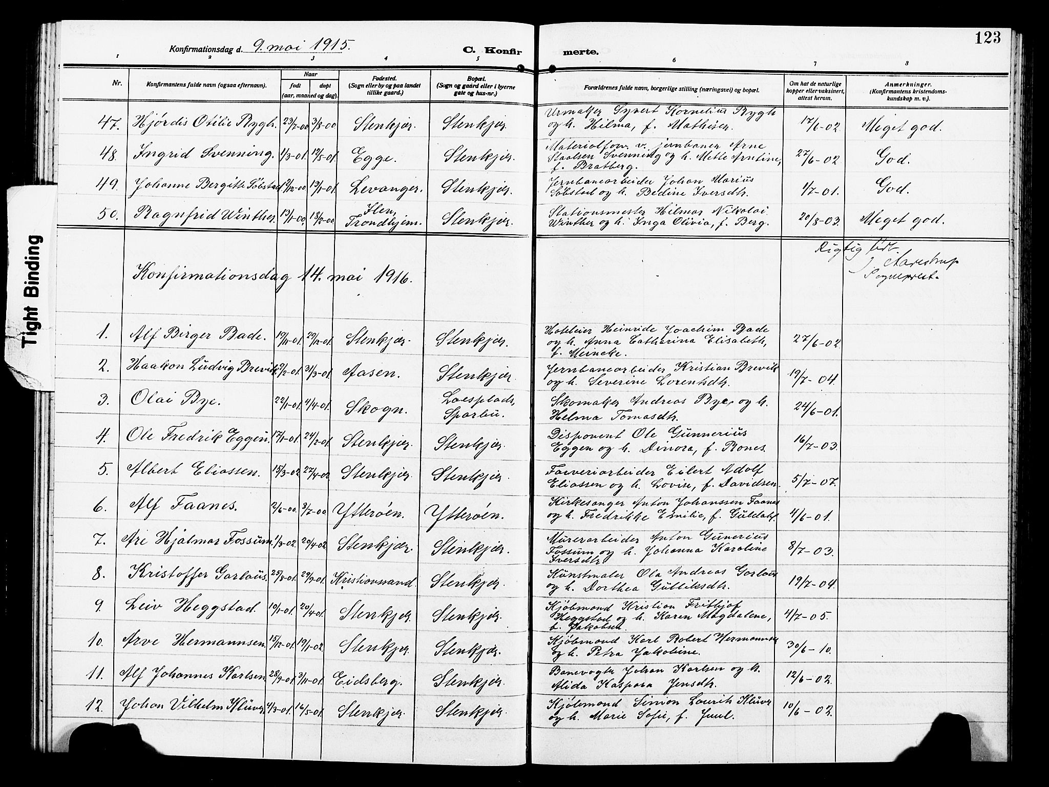 Ministerialprotokoller, klokkerbøker og fødselsregistre - Nord-Trøndelag, AV/SAT-A-1458/739/L0376: Parish register (copy) no. 739C04, 1908-1917, p. 123