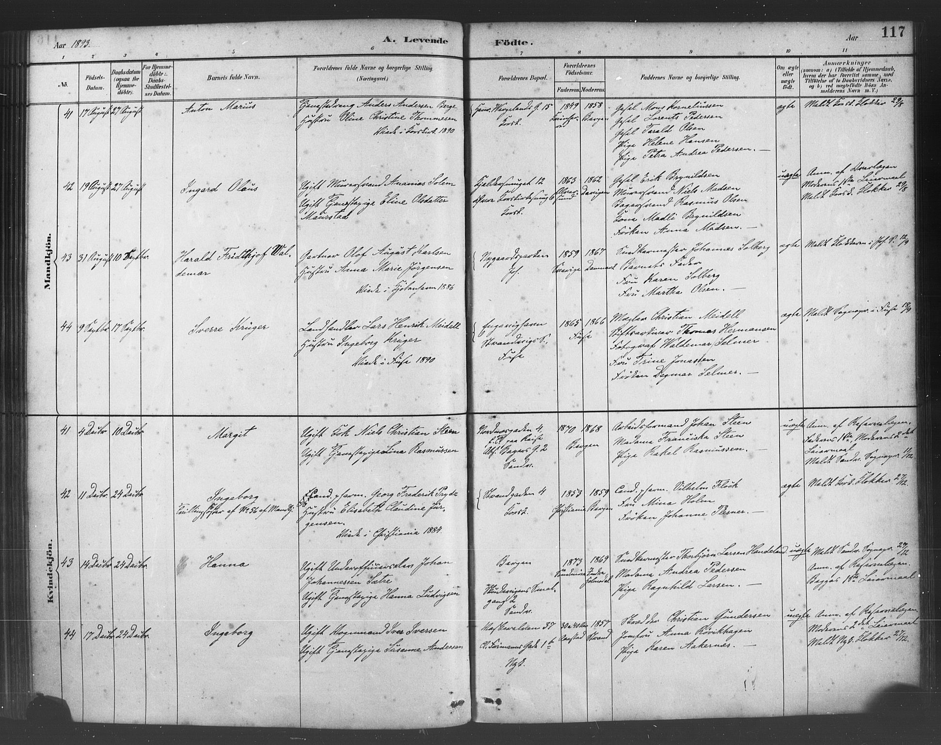 Fødselsstiftelsens sokneprestembete*, SAB/-: Parish register (official) no. A 2, 1884-1900, p. 117