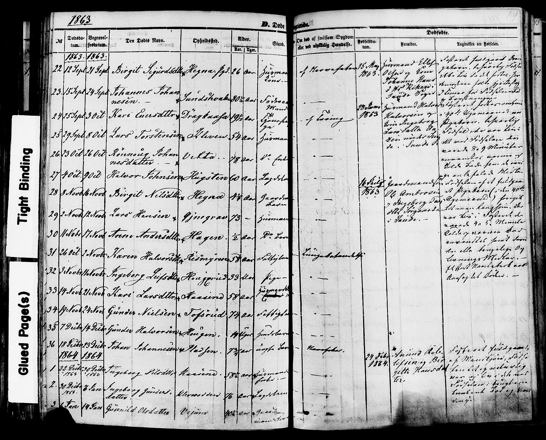 Sauherad kirkebøker, SAKO/A-298/F/Fa/L0007: Parish register (official) no. I 7, 1851-1873, p. 199