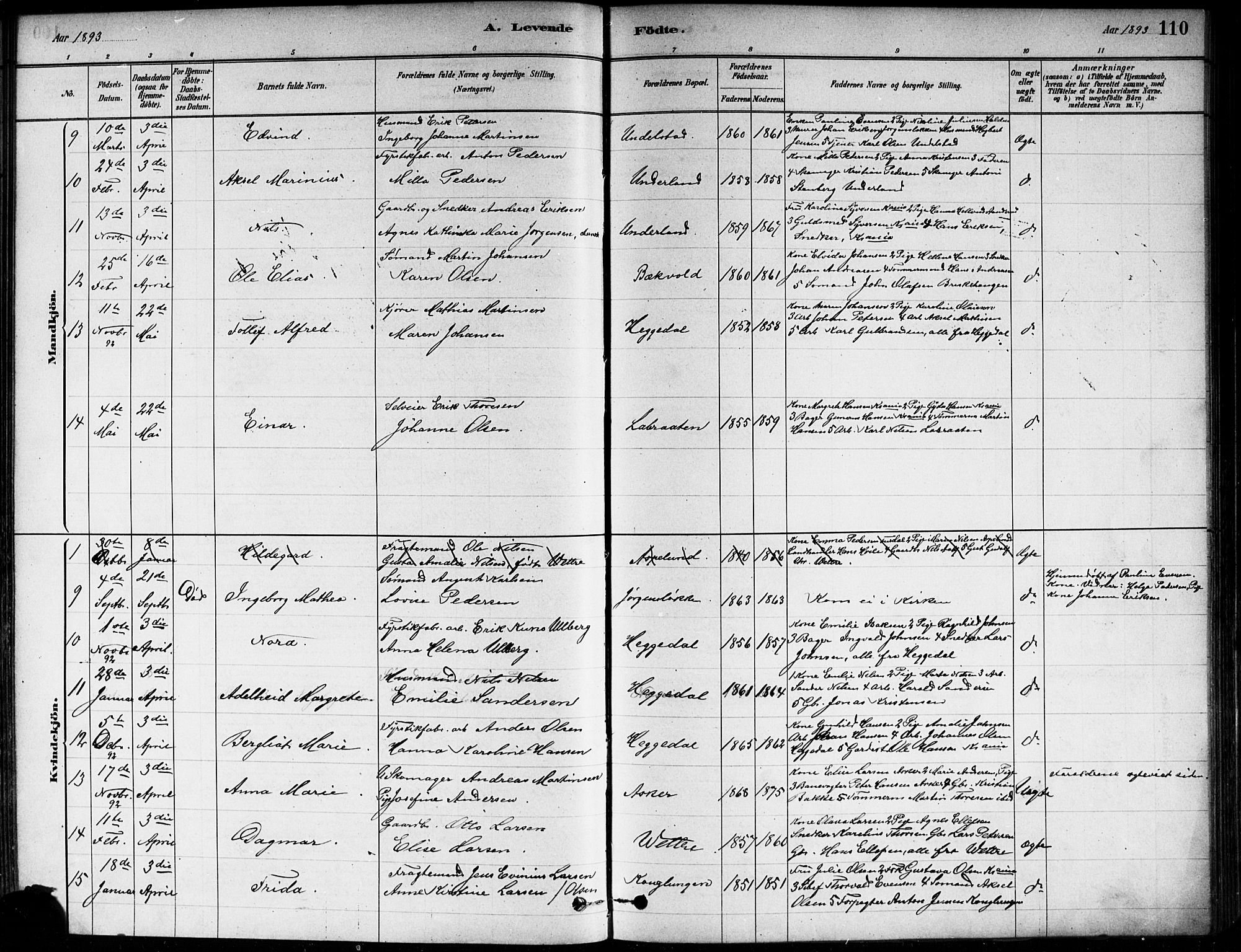 Asker prestekontor Kirkebøker, AV/SAO-A-10256a/F/Fa/L0013: Parish register (official) no. I 13, 1879-1896, p. 110