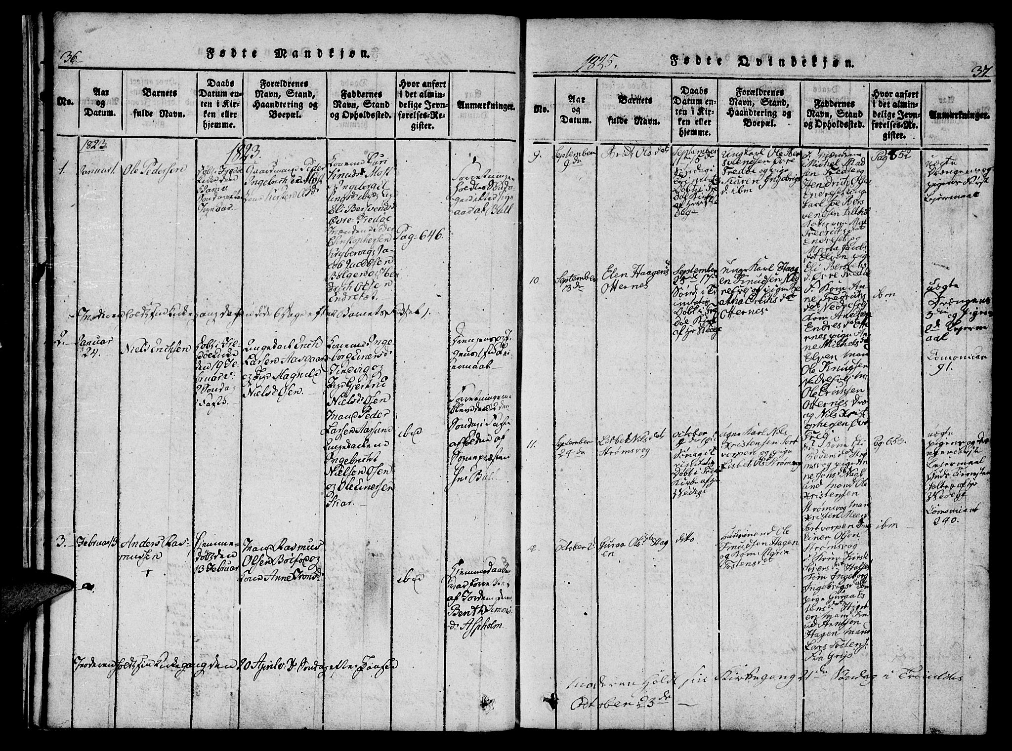 Ministerialprotokoller, klokkerbøker og fødselsregistre - Møre og Romsdal, AV/SAT-A-1454/573/L0873: Parish register (copy) no. 573C01, 1819-1834, p. 36-37