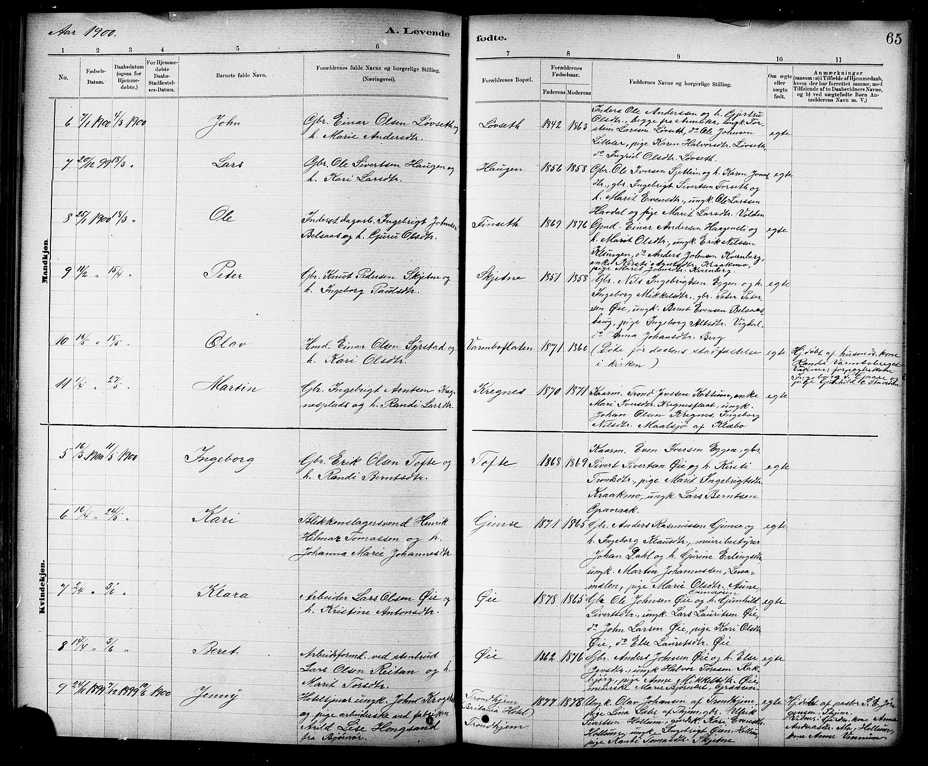 Ministerialprotokoller, klokkerbøker og fødselsregistre - Sør-Trøndelag, SAT/A-1456/691/L1094: Parish register (copy) no. 691C05, 1879-1911, p. 65