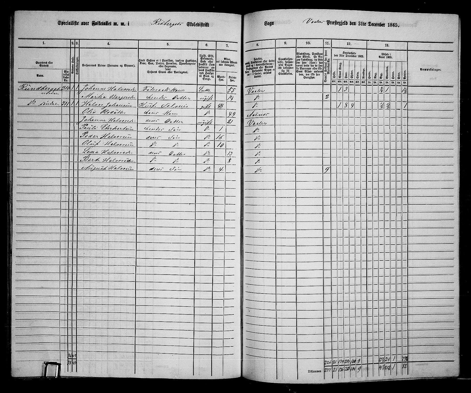 RA, 1865 census for Våler, 1865, p. 153