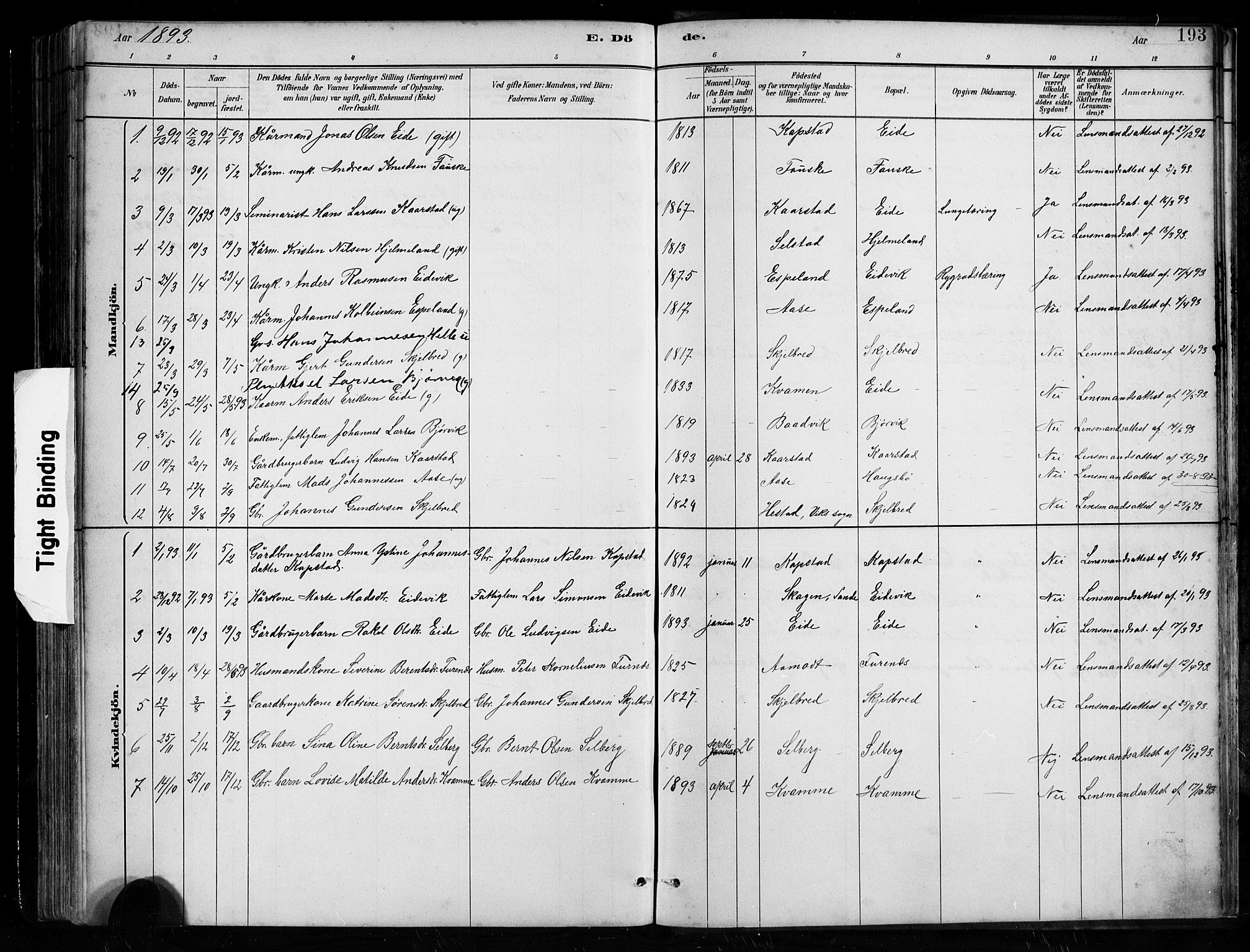 Gaular sokneprestembete, AV/SAB-A-80001/H/Hab: Parish register (copy) no. B 3, 1882-1913, p. 193