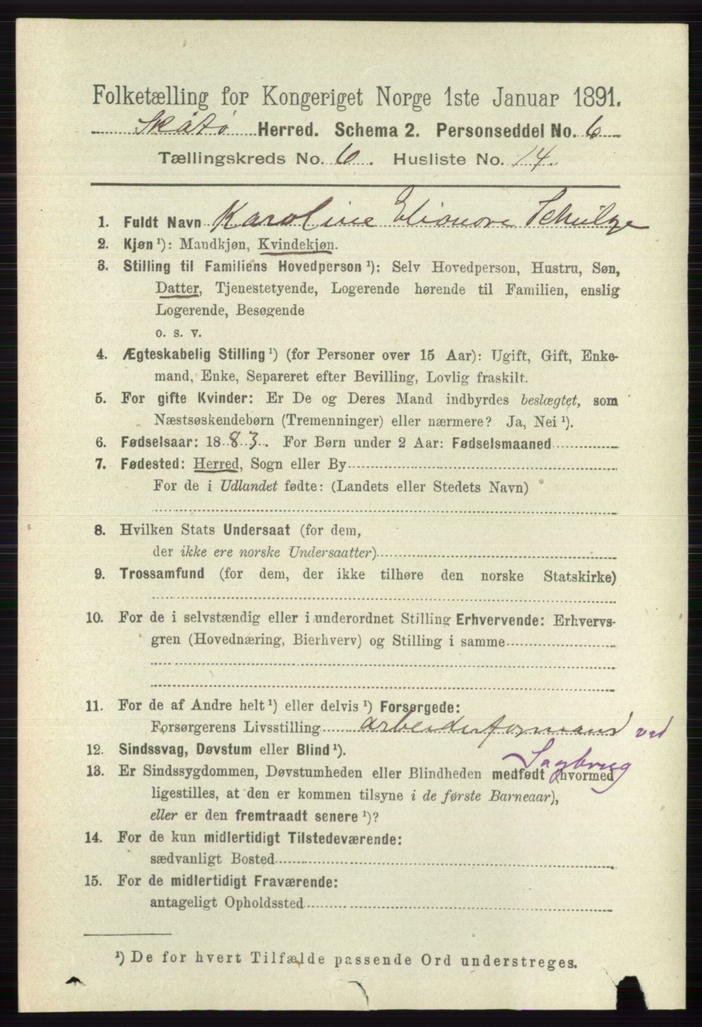 RA, 1891 census for 0815 Skåtøy, 1891, p. 2993