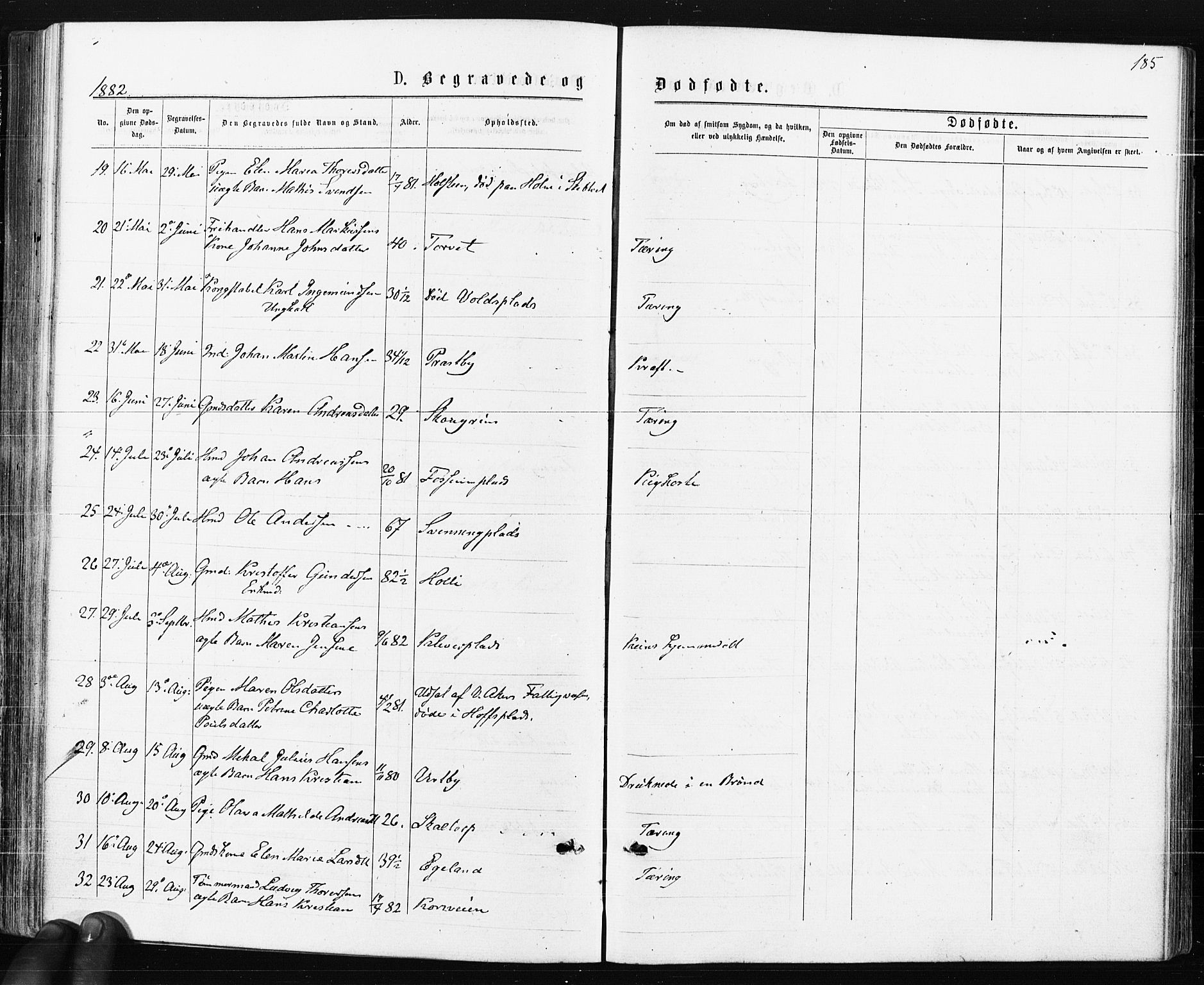 Spydeberg prestekontor Kirkebøker, AV/SAO-A-10924/F/Fa/L0007: Parish register (official) no. I 7, 1875-1885, p. 185