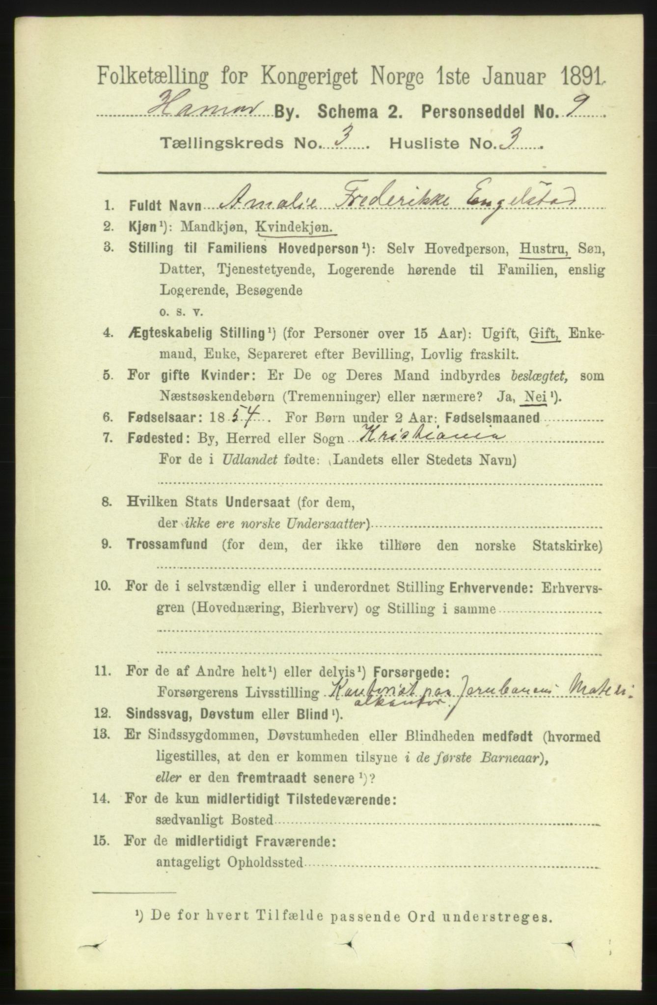 RA, 1891 census for 0401 Hamar, 1891, p. 1733