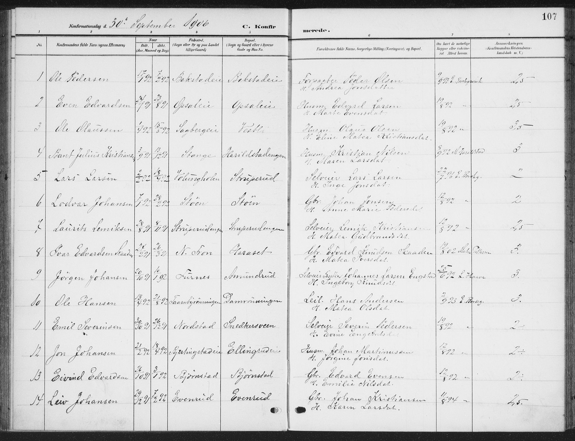 Romedal prestekontor, SAH/PREST-004/K/L0009: Parish register (official) no. 9, 1906-1929, p. 107