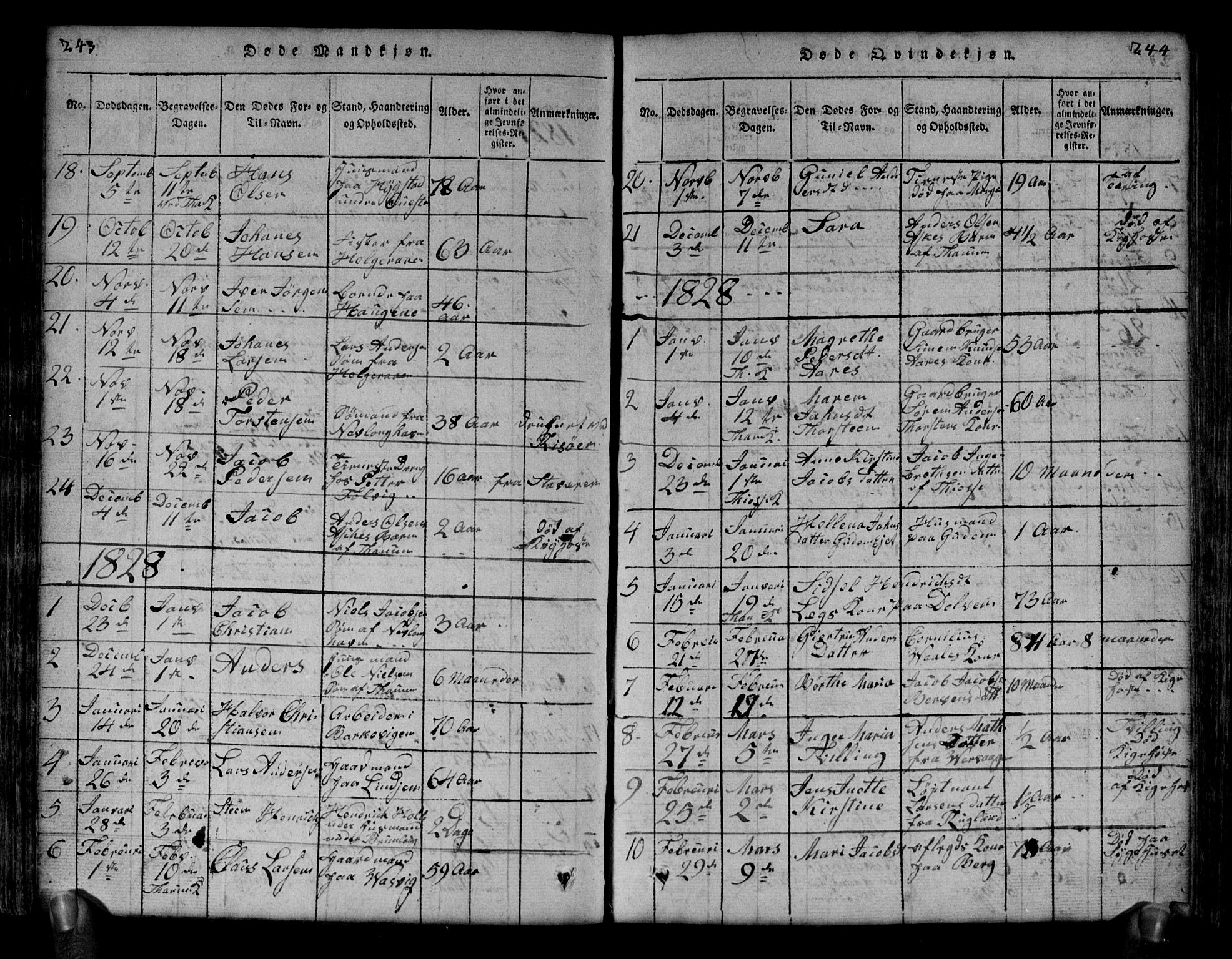 Brunlanes kirkebøker, SAKO/A-342/G/Ga/L0001: Parish register (copy) no. I 1, 1814-1834, p. 243-244
