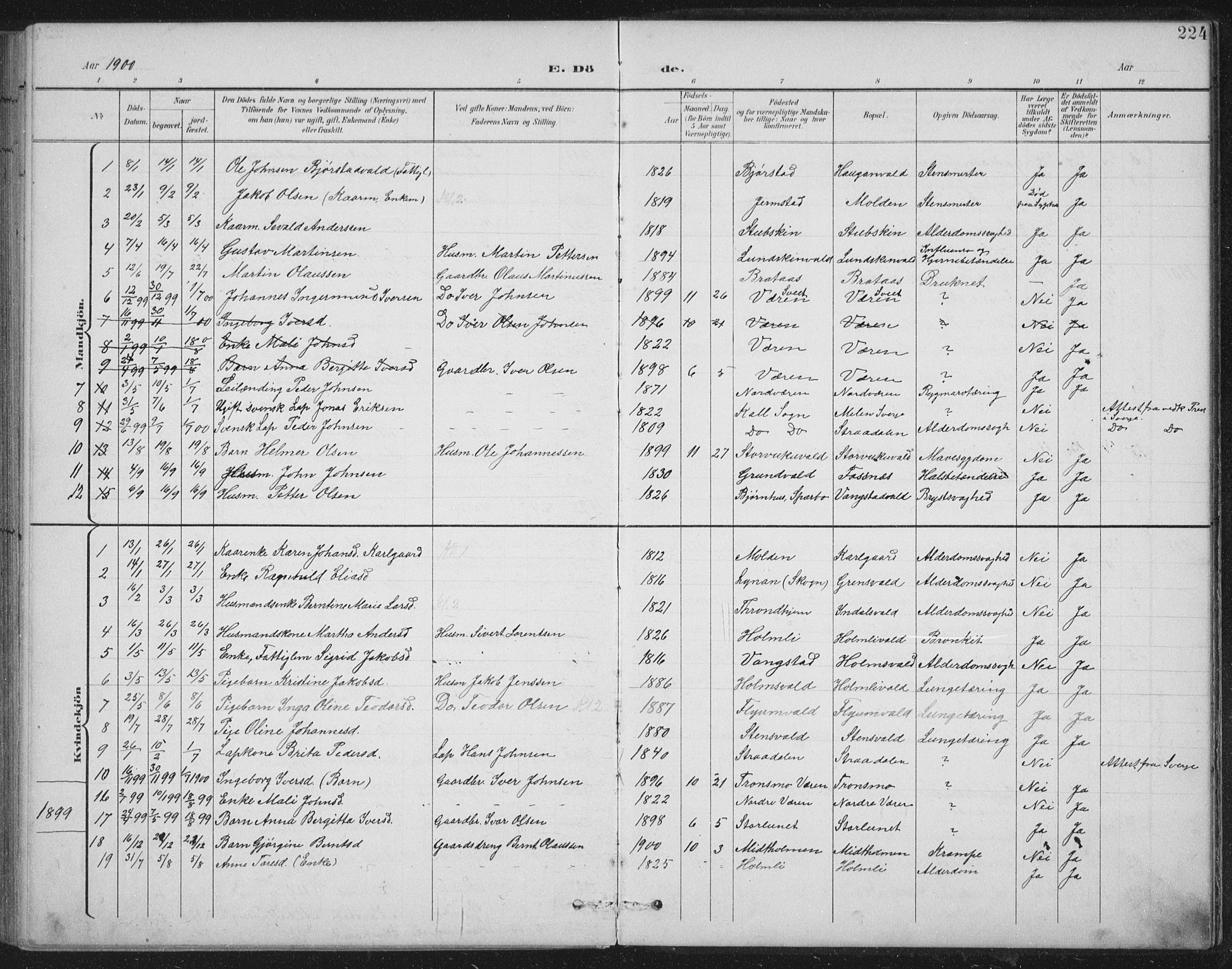 Ministerialprotokoller, klokkerbøker og fødselsregistre - Nord-Trøndelag, AV/SAT-A-1458/724/L0269: Parish register (copy) no. 724C05, 1899-1920, p. 224