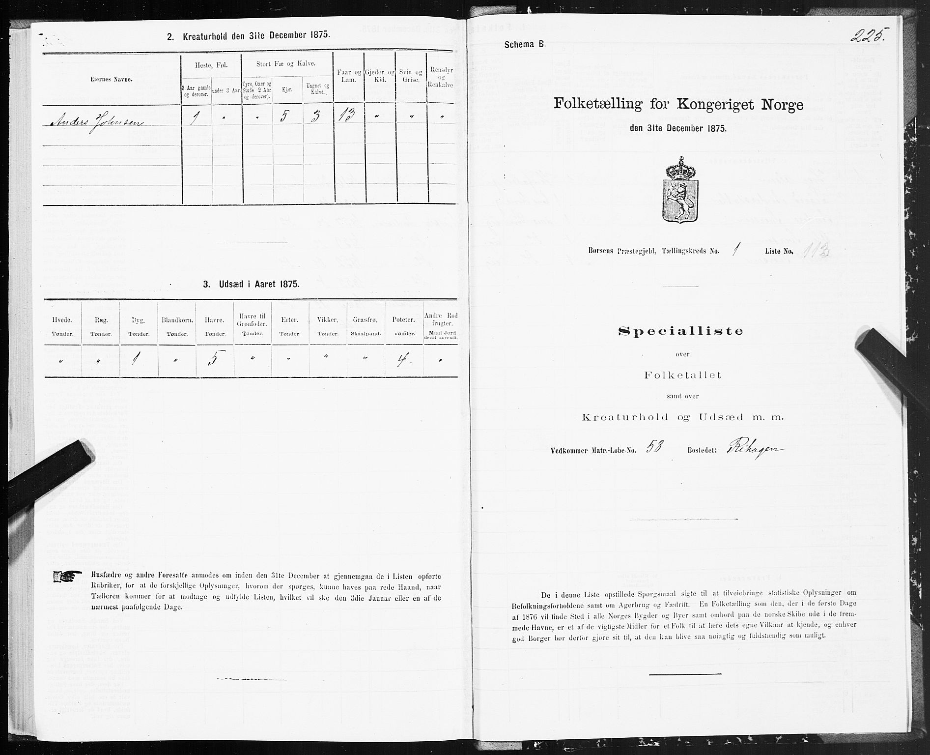 SAT, 1875 census for 1658P Børsa, 1875, p. 1225
