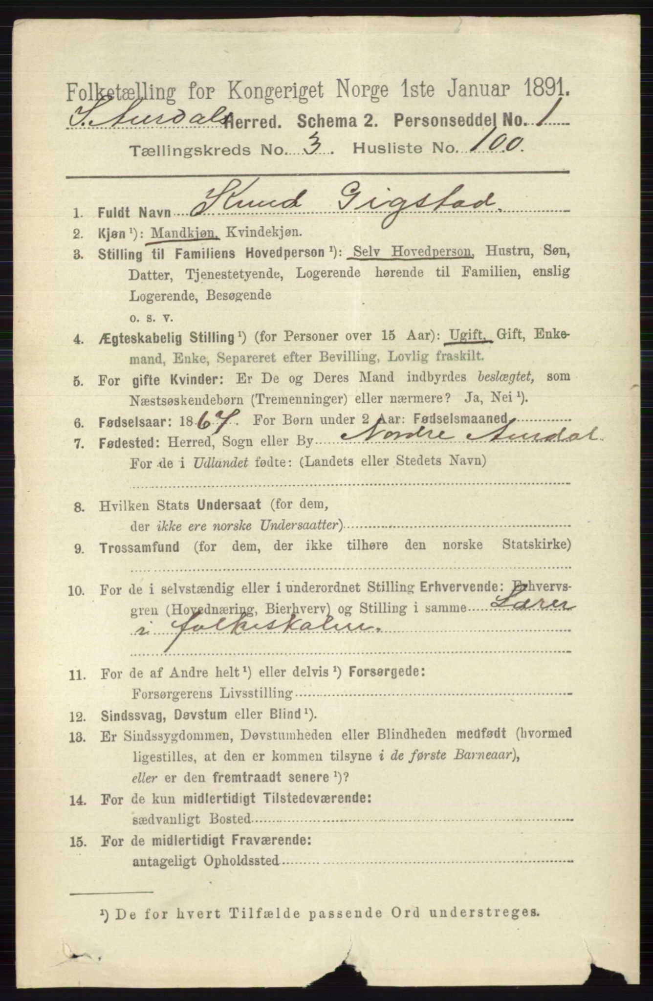 RA, 1891 census for 0540 Sør-Aurdal, 1891, p. 2317