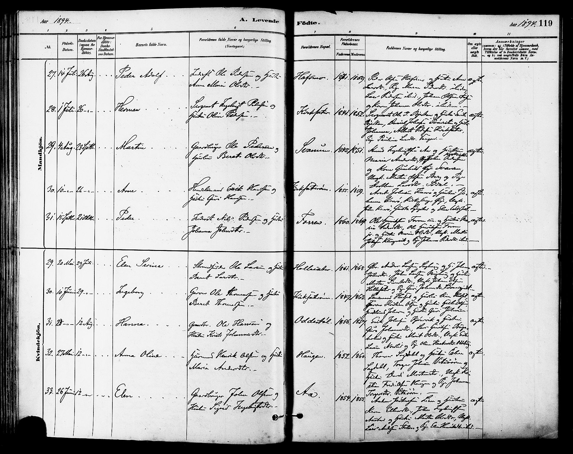 Ministerialprotokoller, klokkerbøker og fødselsregistre - Sør-Trøndelag, AV/SAT-A-1456/630/L0496: Parish register (official) no. 630A09, 1879-1895, p. 119