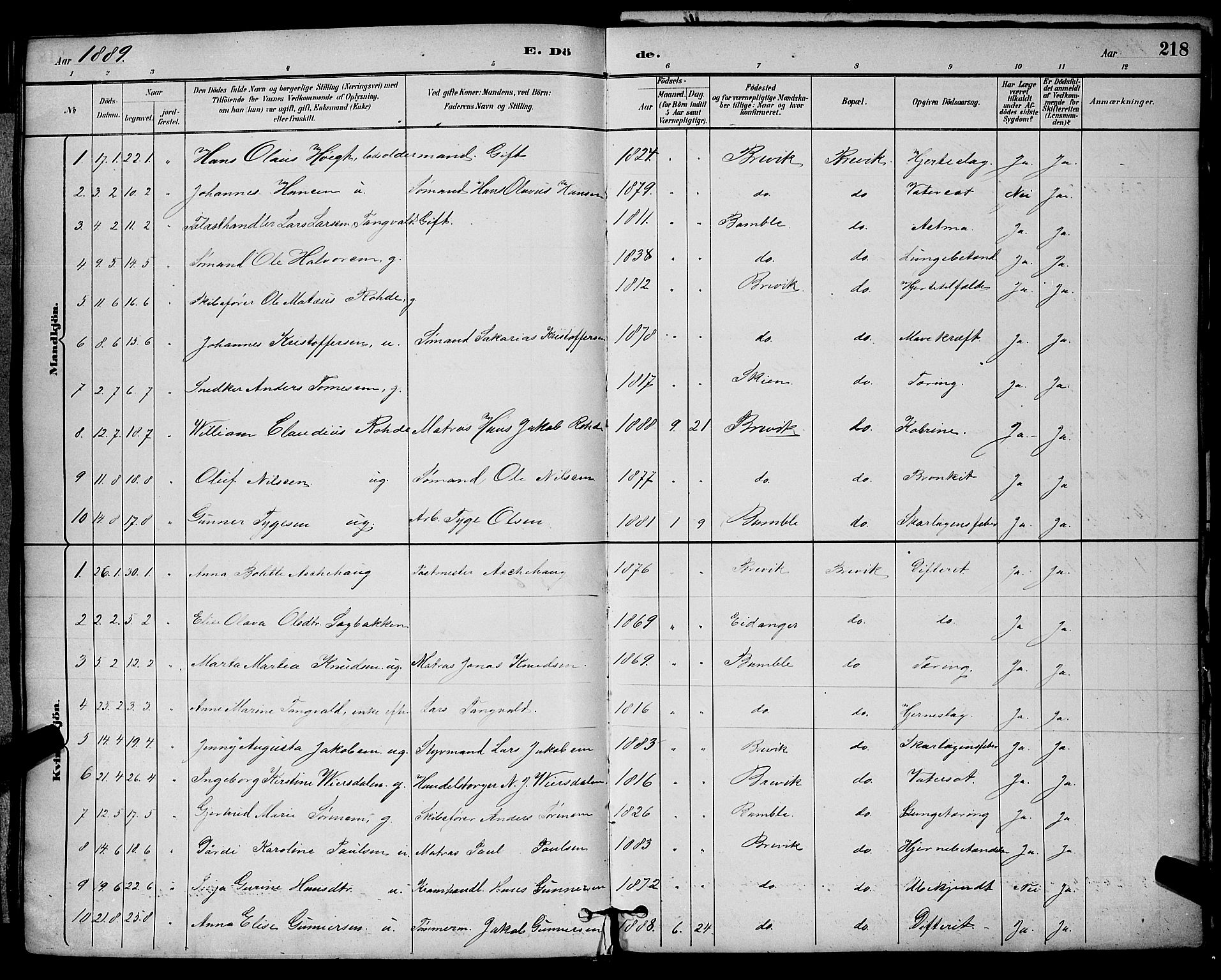 Brevik kirkebøker, SAKO/A-255/G/Ga/L0004: Parish register (copy) no. 4, 1882-1900, p. 218
