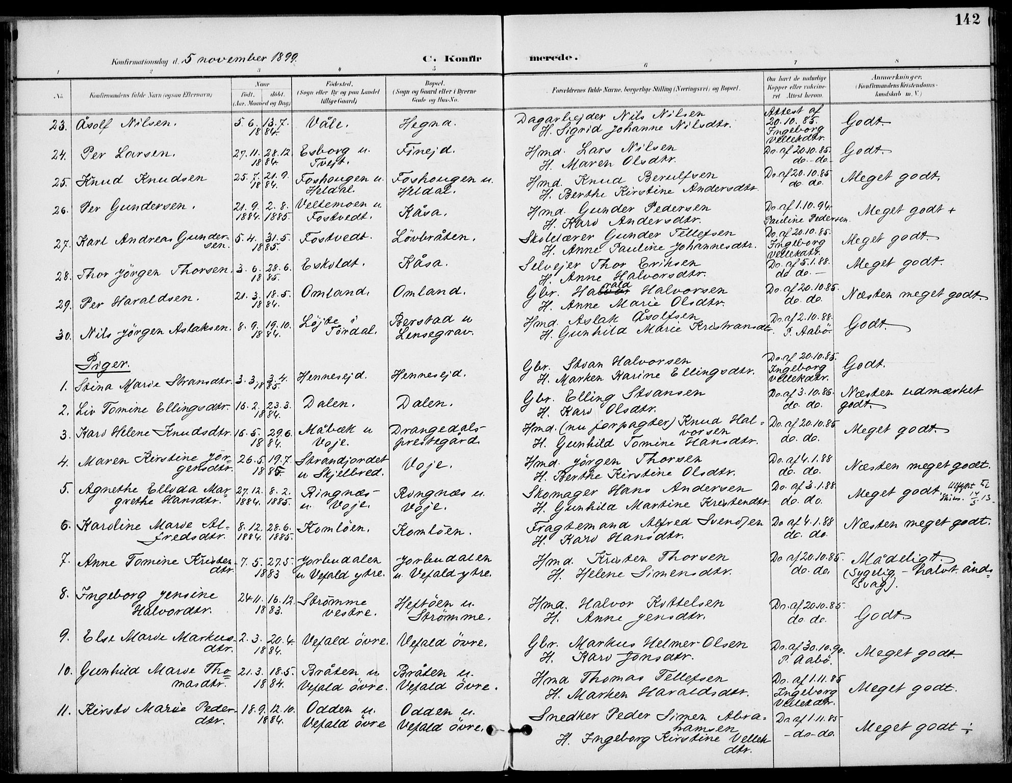 Drangedal kirkebøker, SAKO/A-258/F/Fa/L0012: Parish register (official) no. 12, 1895-1905, p. 142