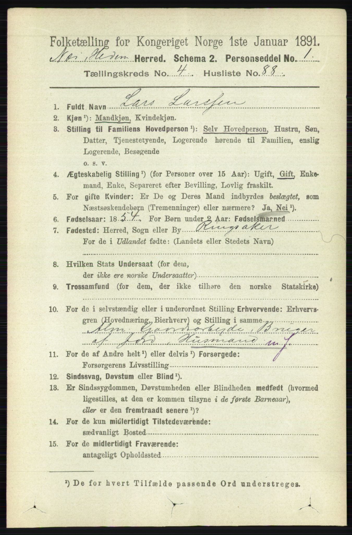 RA, 1891 census for 0411 Nes, 1891, p. 2511